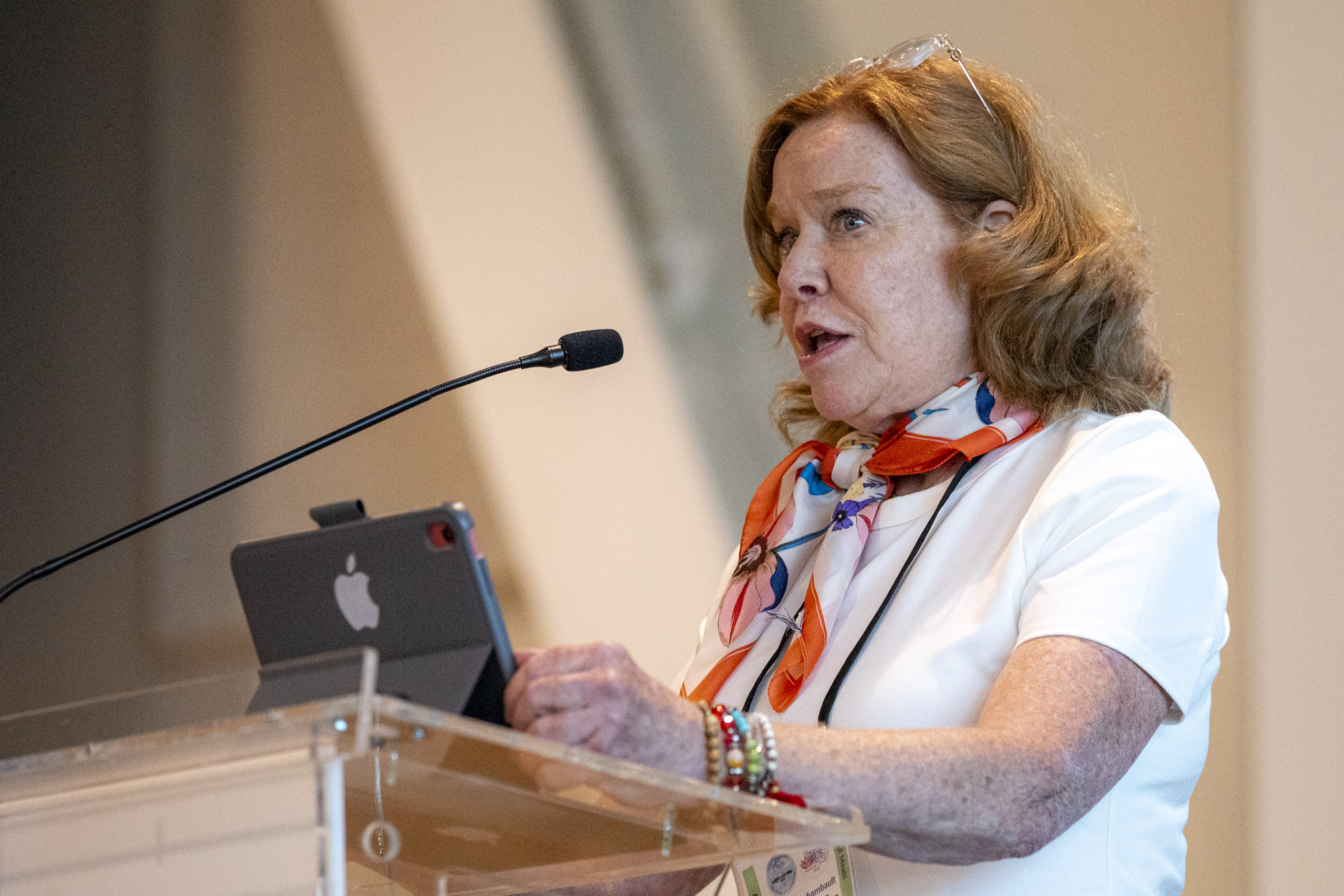 20250727 200214 RD4 8501