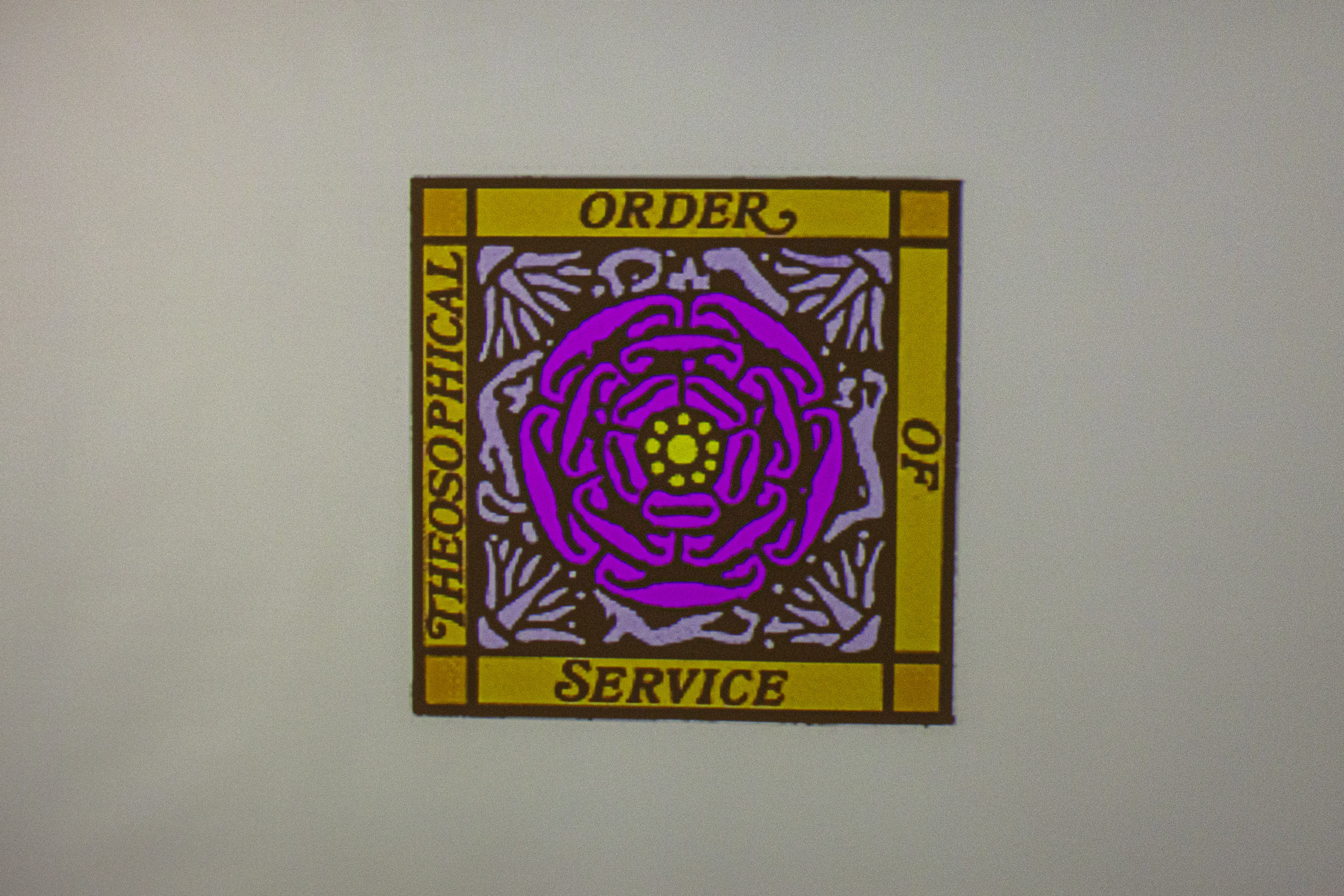 20250728 145611 RD4 9145