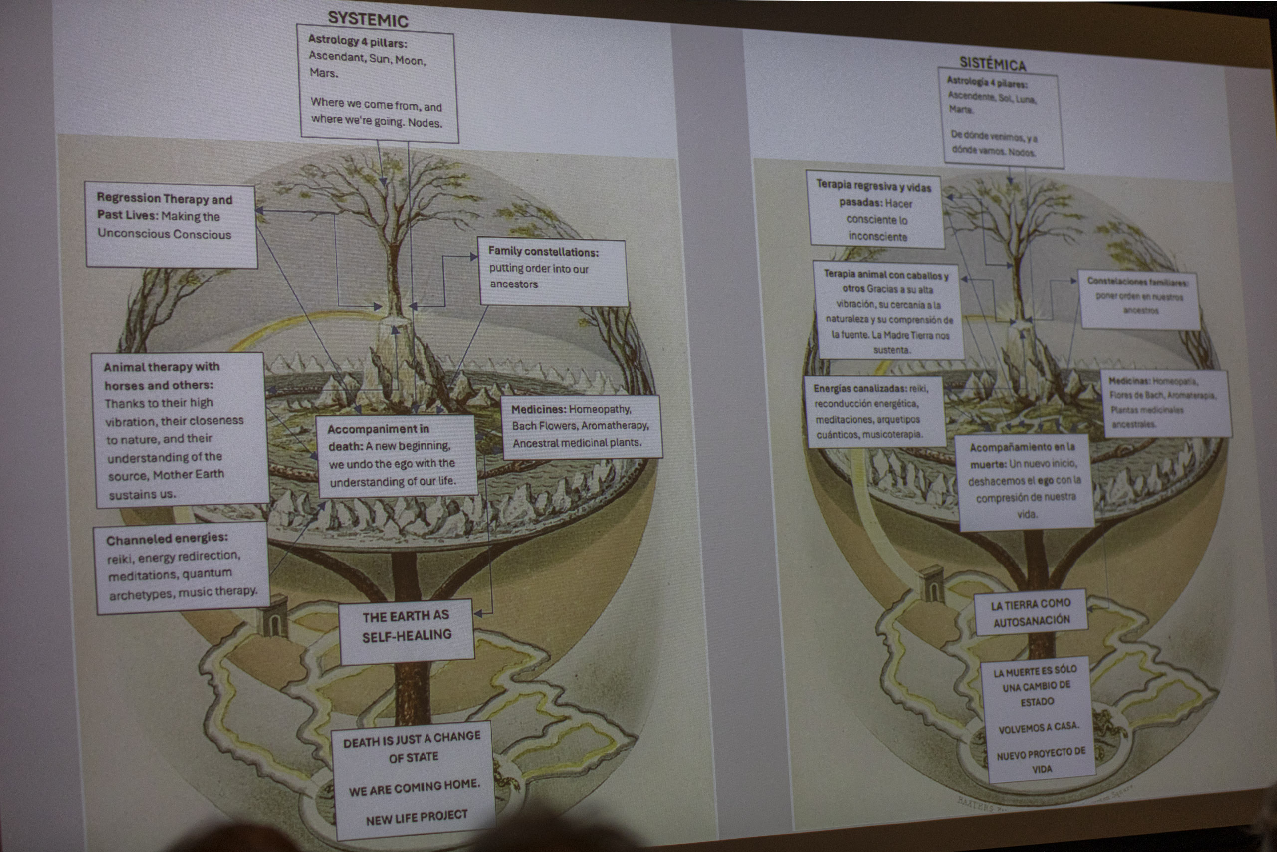 20250729 094624 RD4 9871