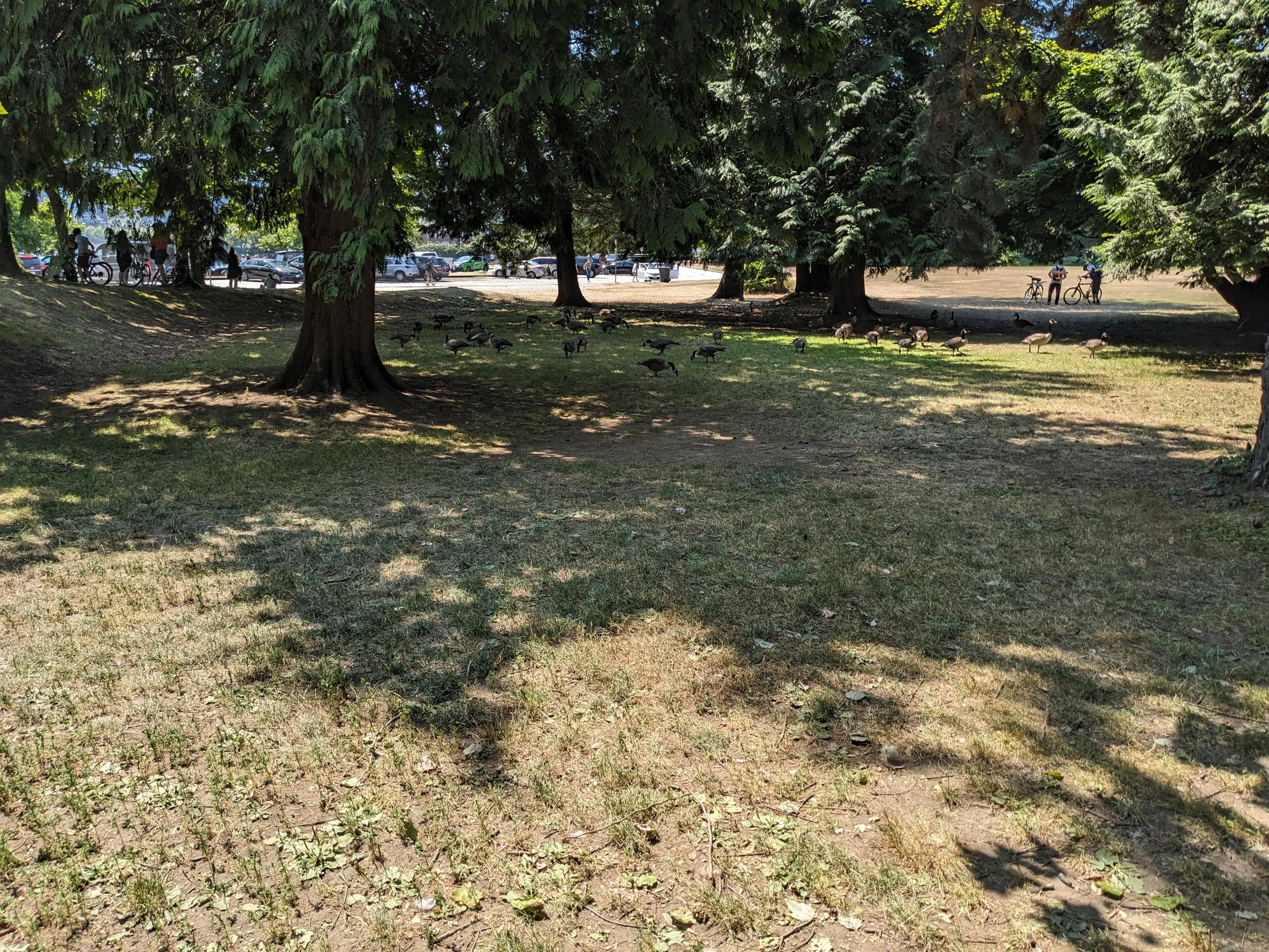 PXL 20250730 193312898