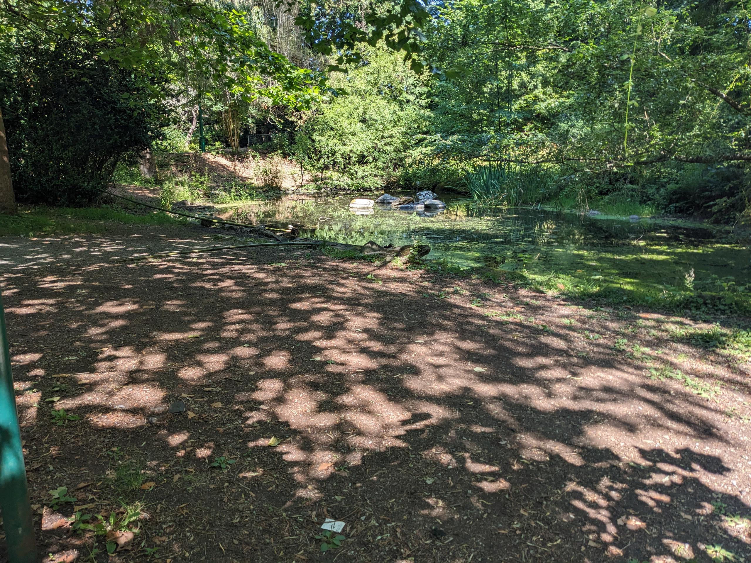 PXL 20250730 201151170