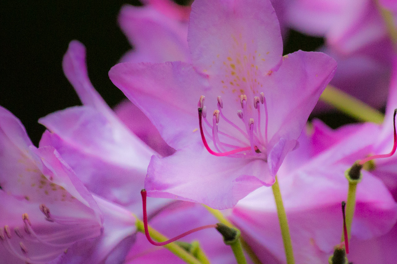 20130615192227 29437