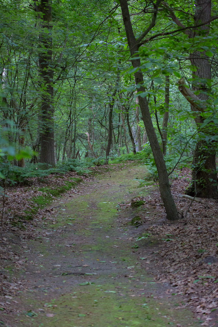 20130616194430 29643