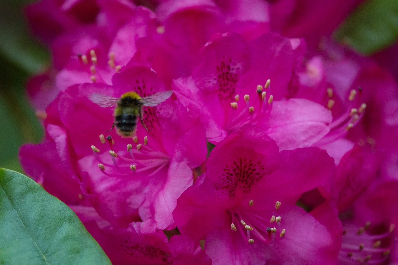 20130616203000 29729