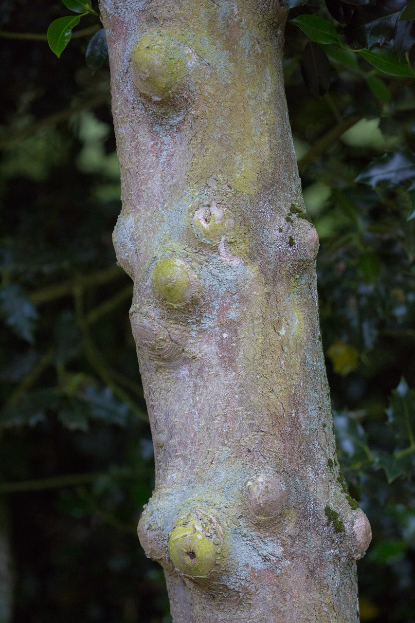 20130616204002 29782