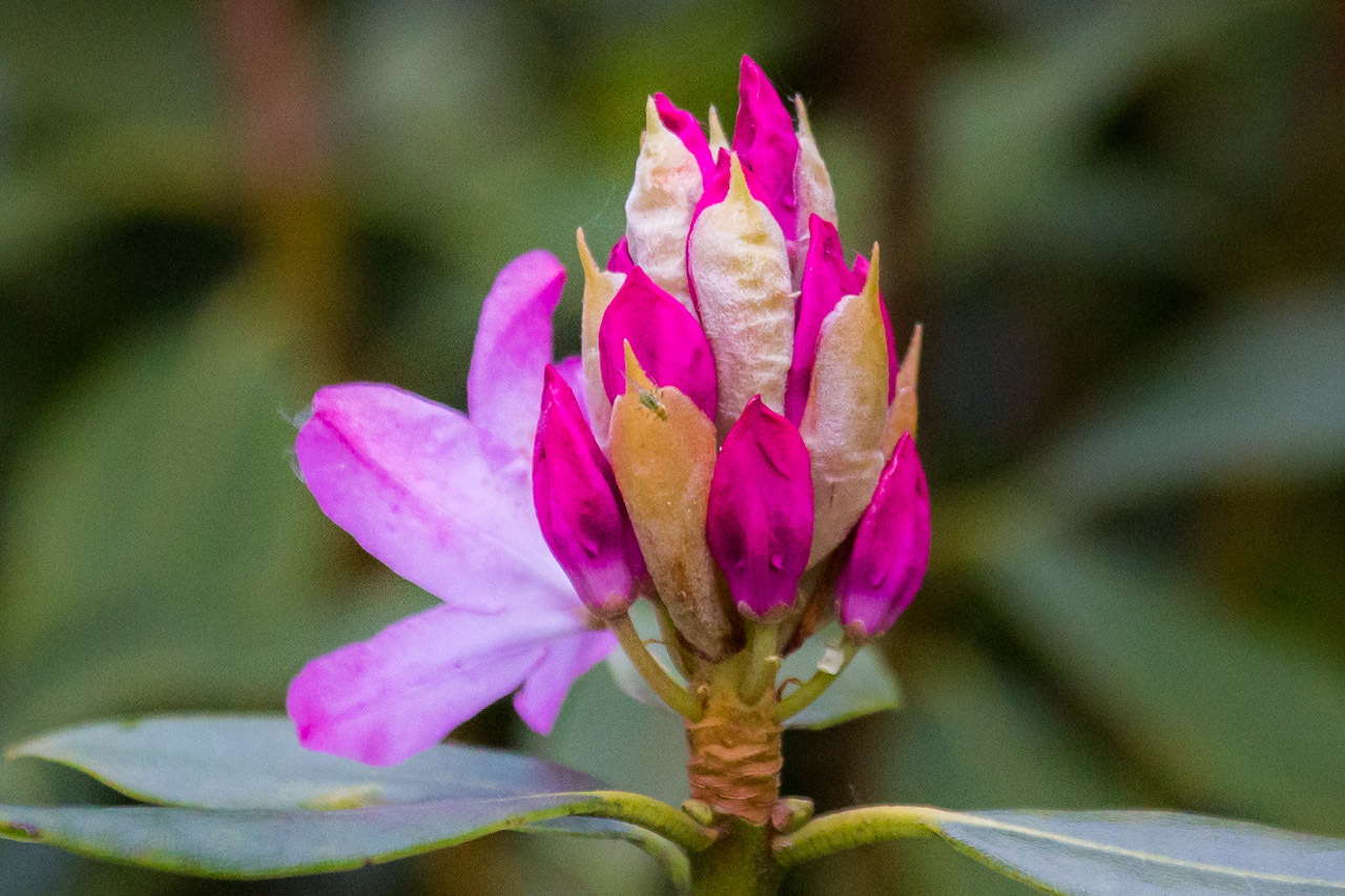 20130616205338 29828