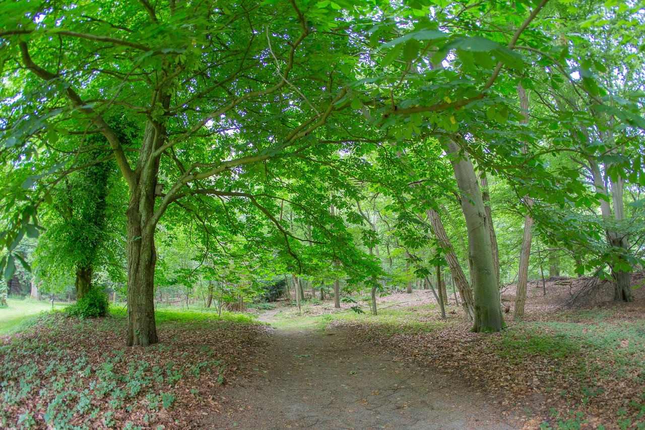 20130618192310 20953