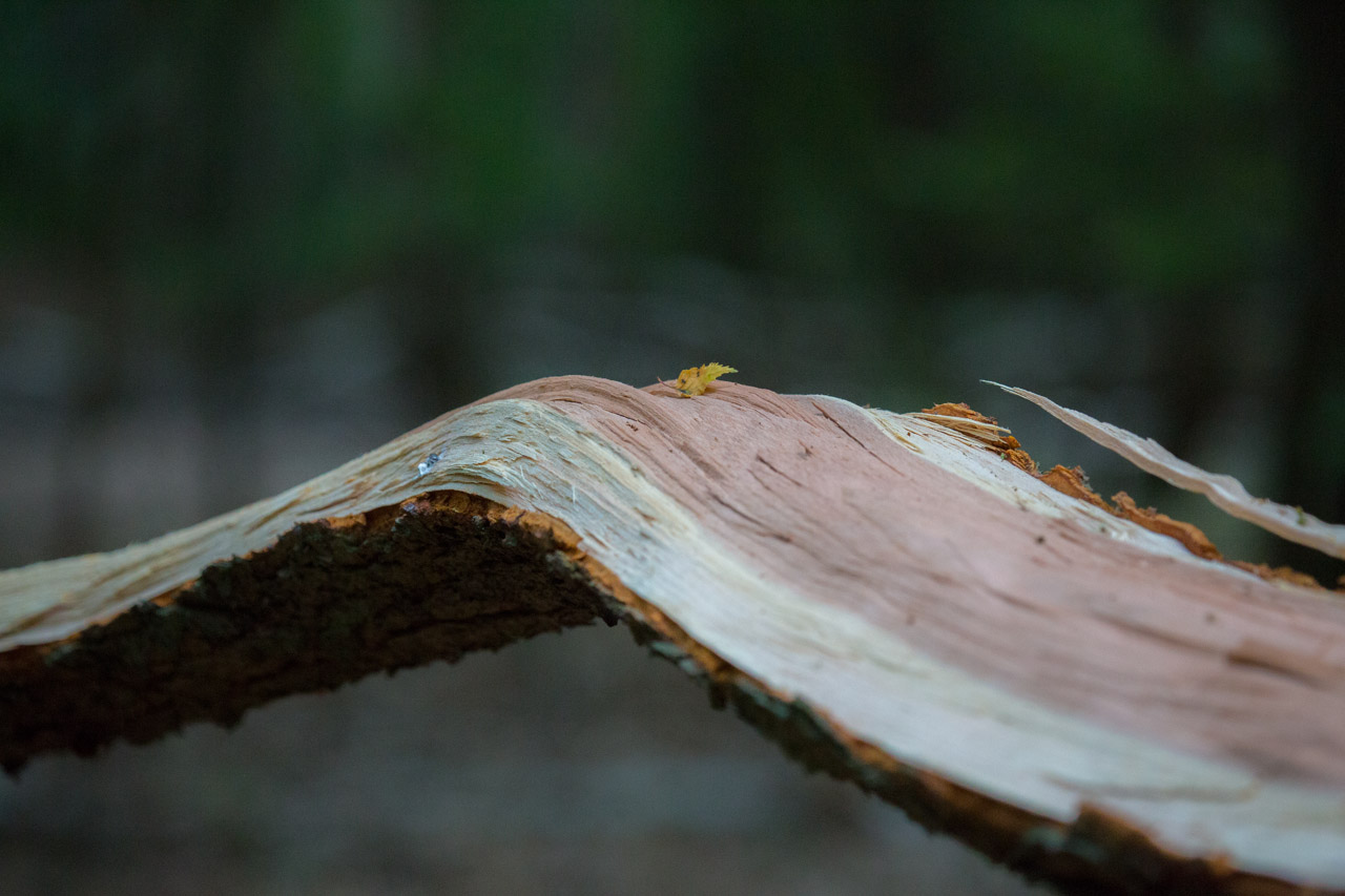 20130619210143 21421