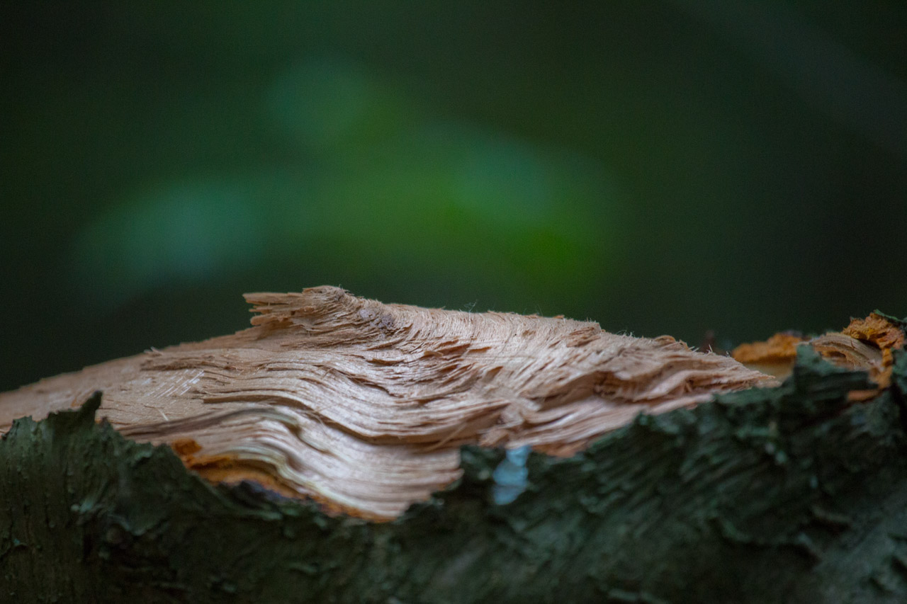 20130619210211 21435