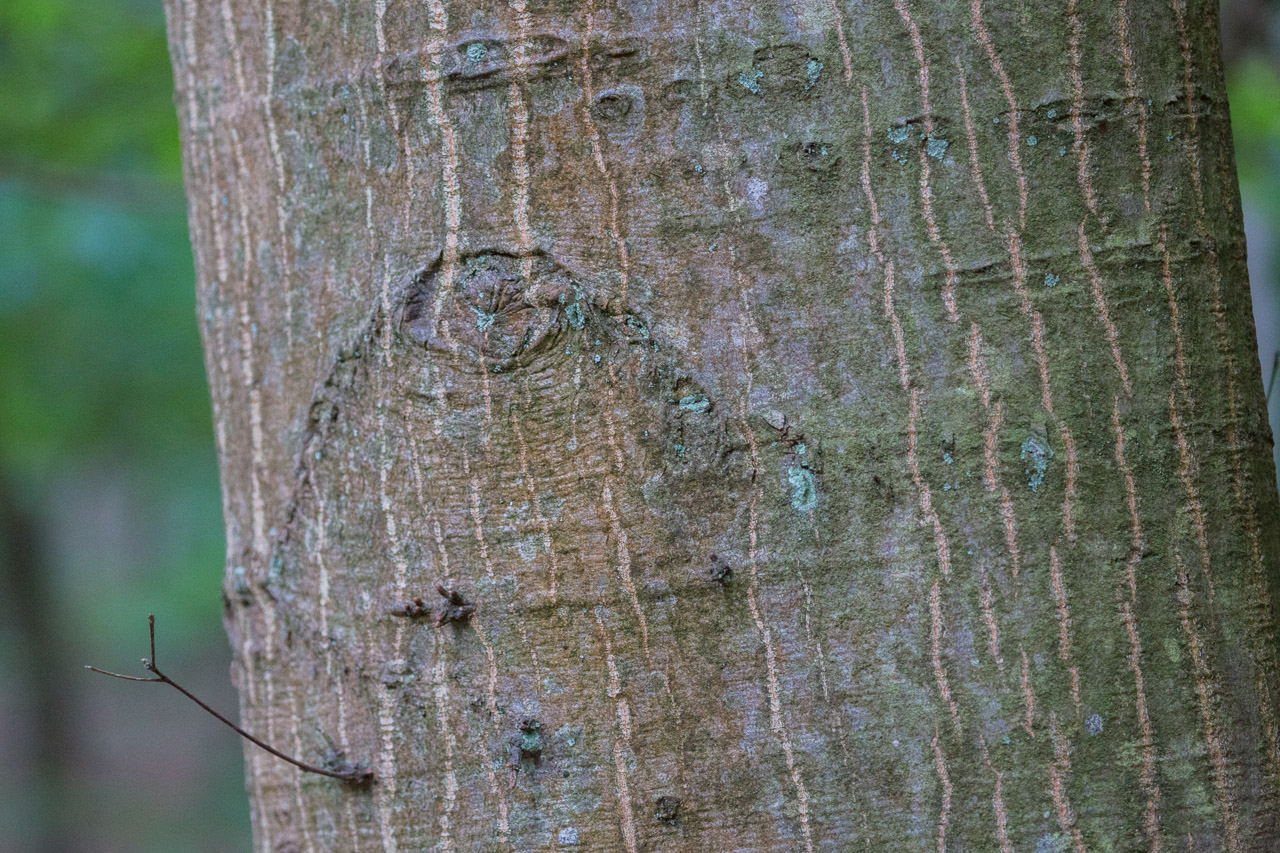 20130619210346 21449