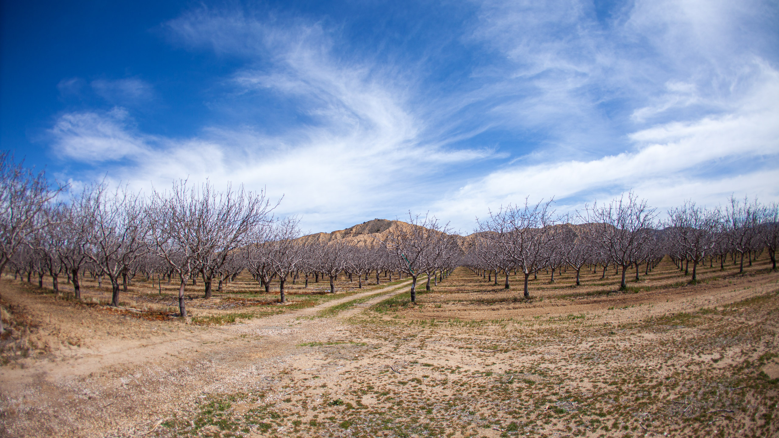 20120329140020 IMG 8434