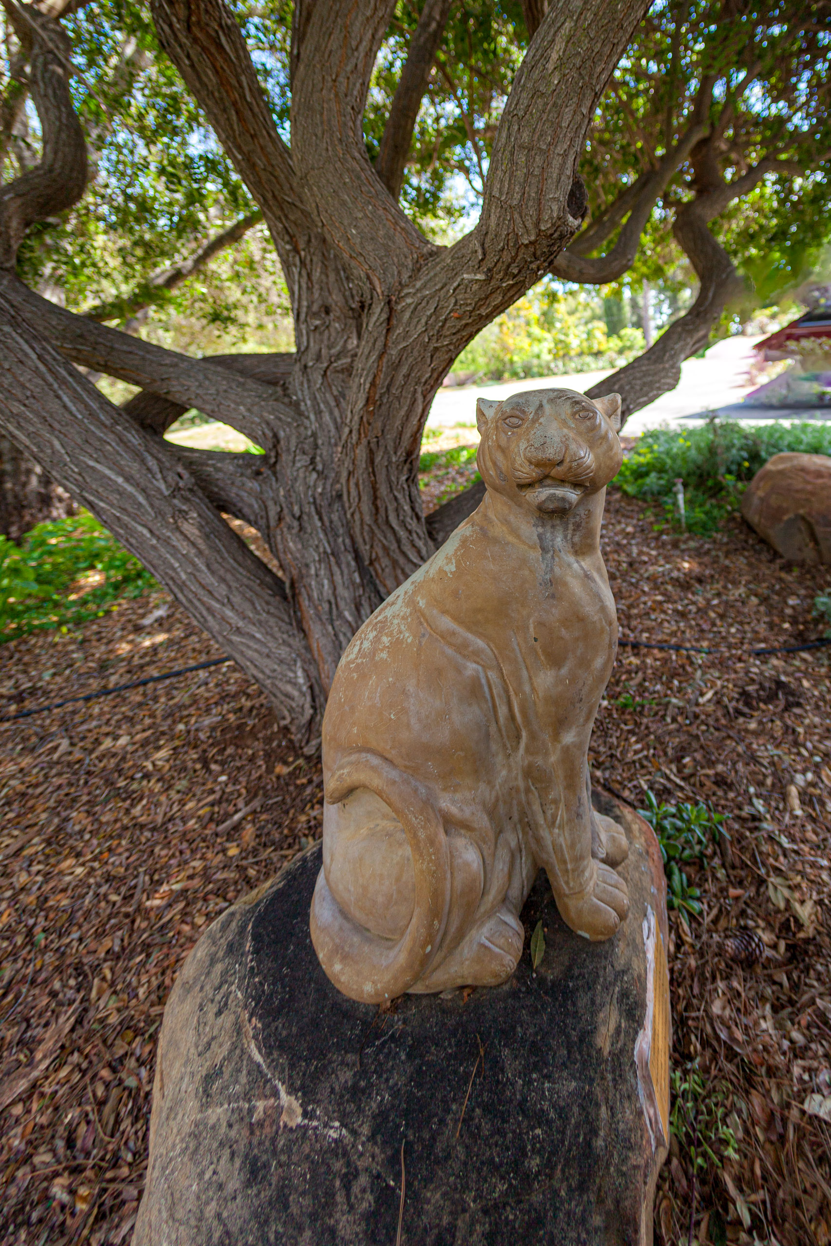 20120329153522 IMG 8534