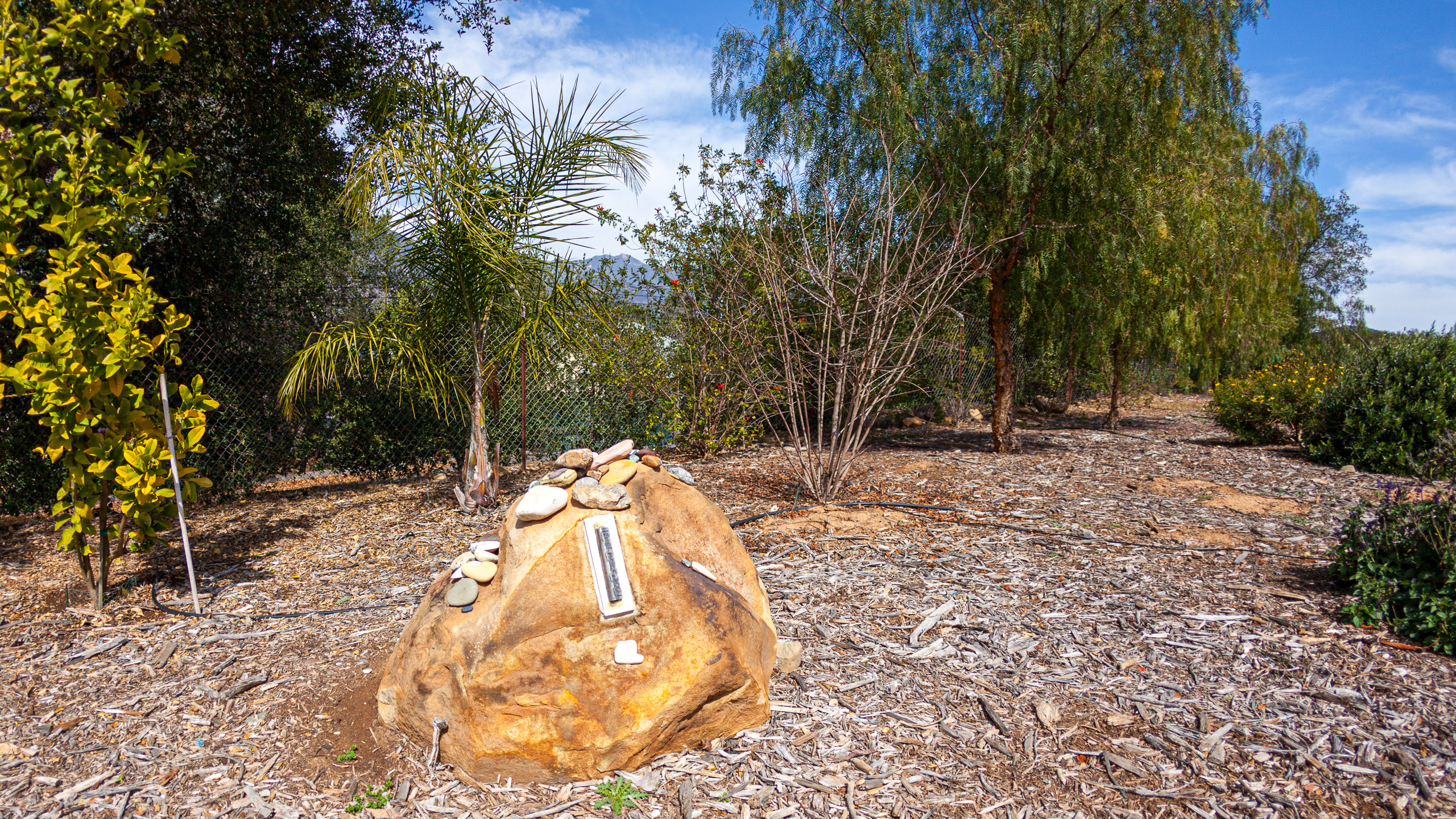 20120329153734 IMG 8543