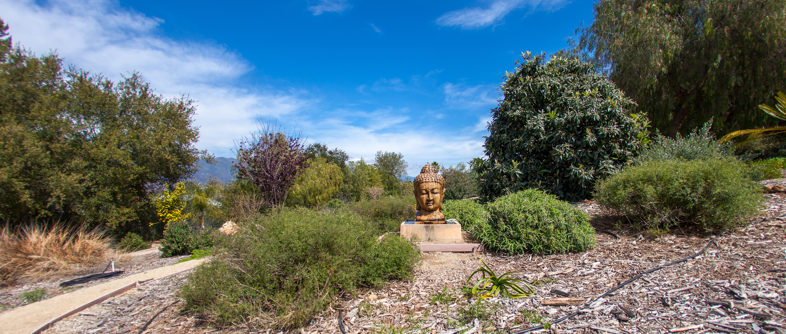 20120329153849 IMG 8548