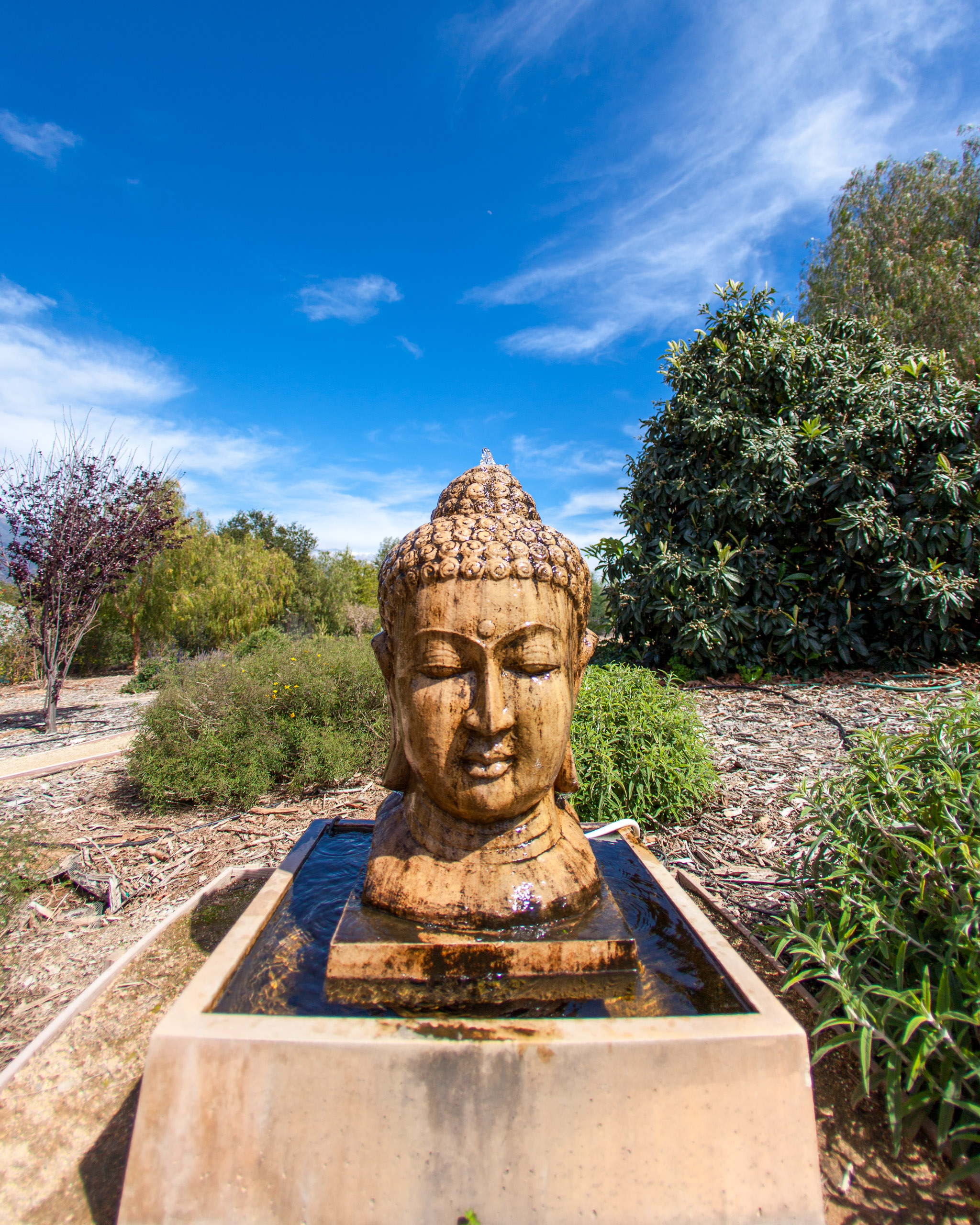 20120329153913 IMG 8551