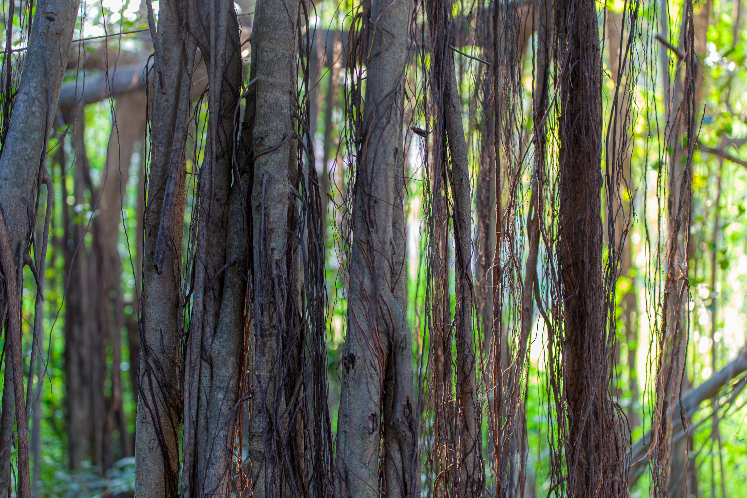 20101226164312 IMG 0949