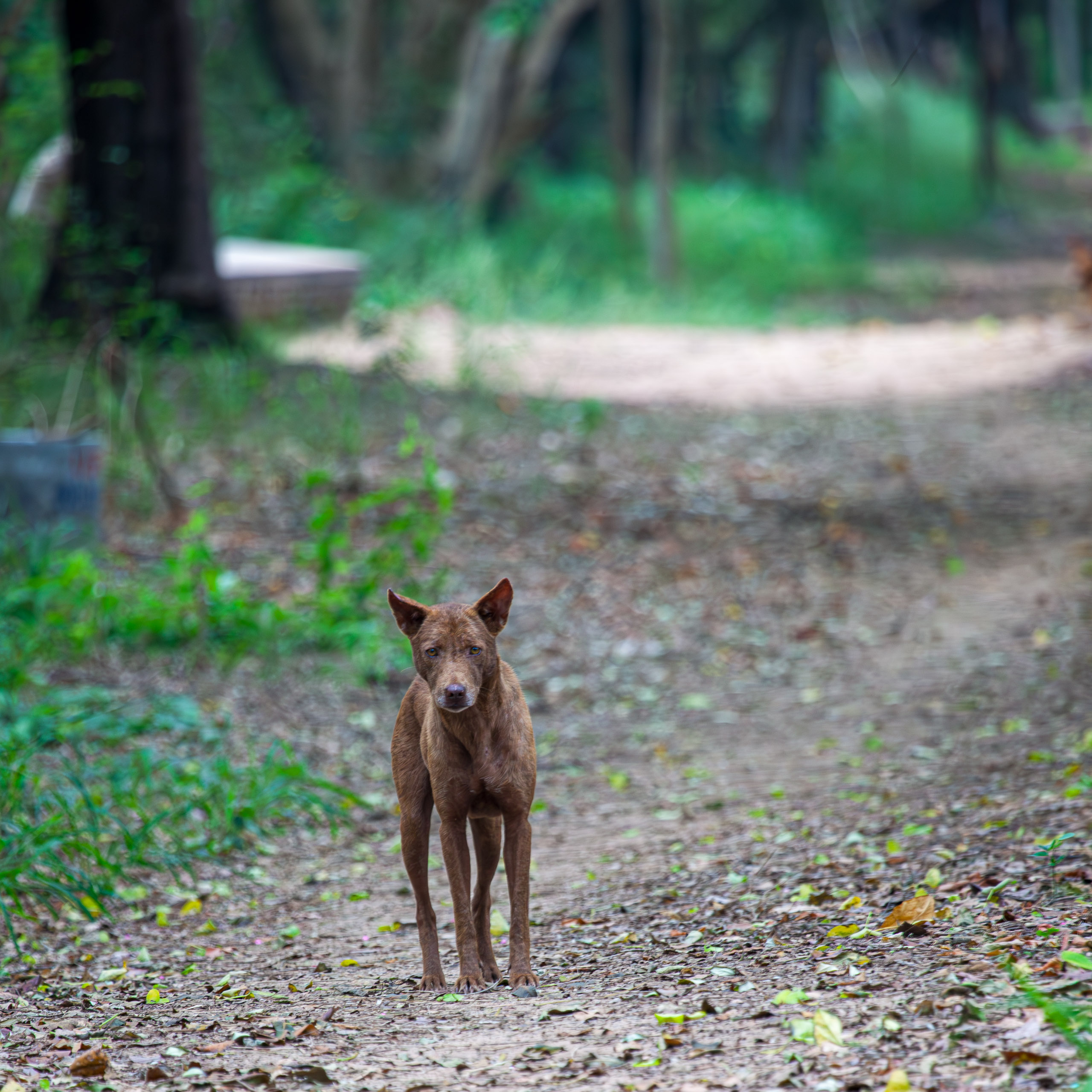 20110102161631 IMG 2932