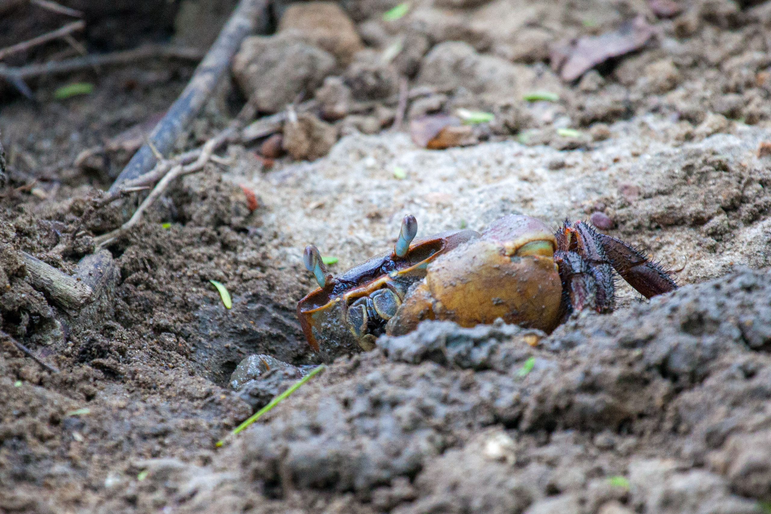 20110102161805 IMG 2938