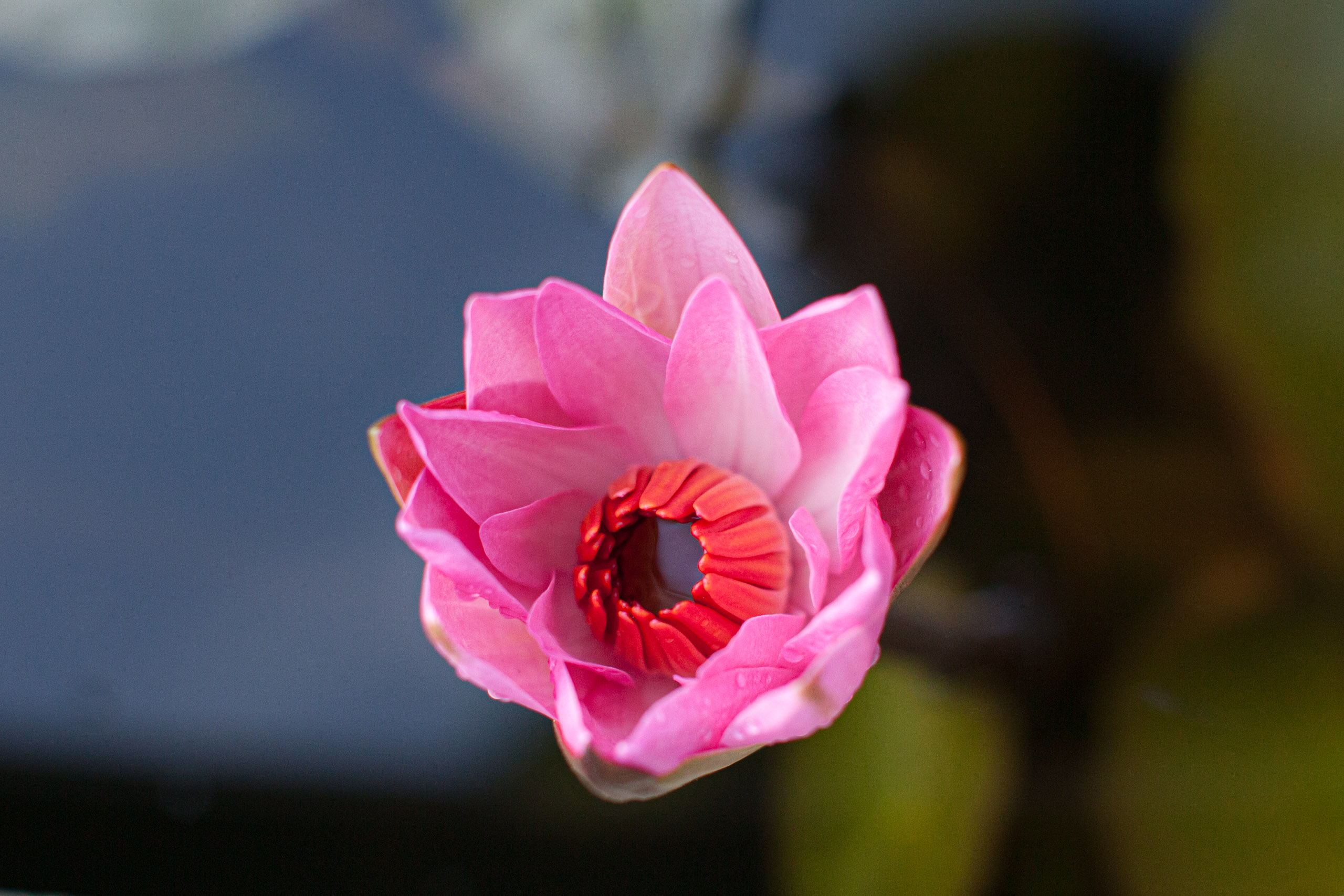 20110103065531 IMG 3285