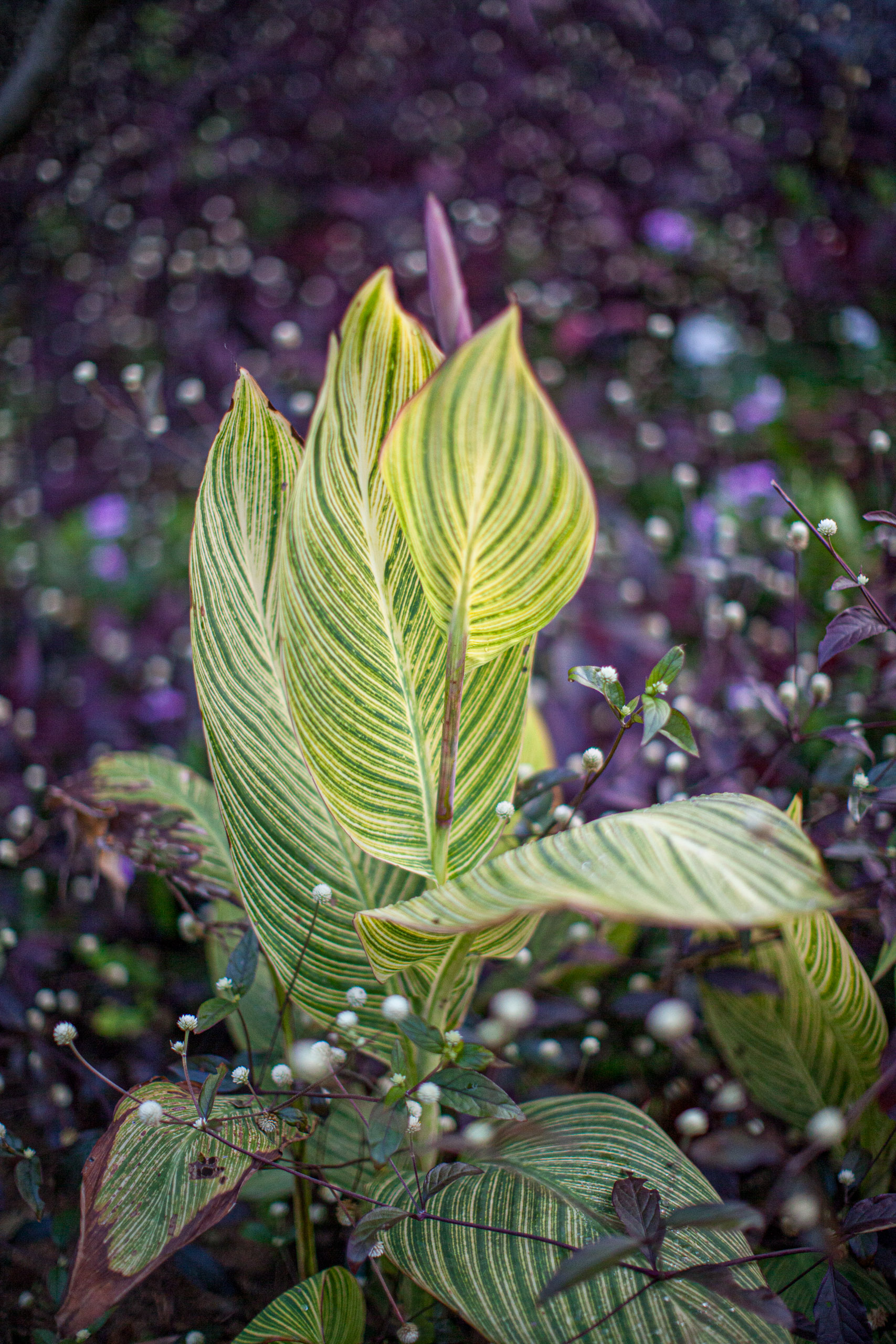 20110103065846 IMG 3309