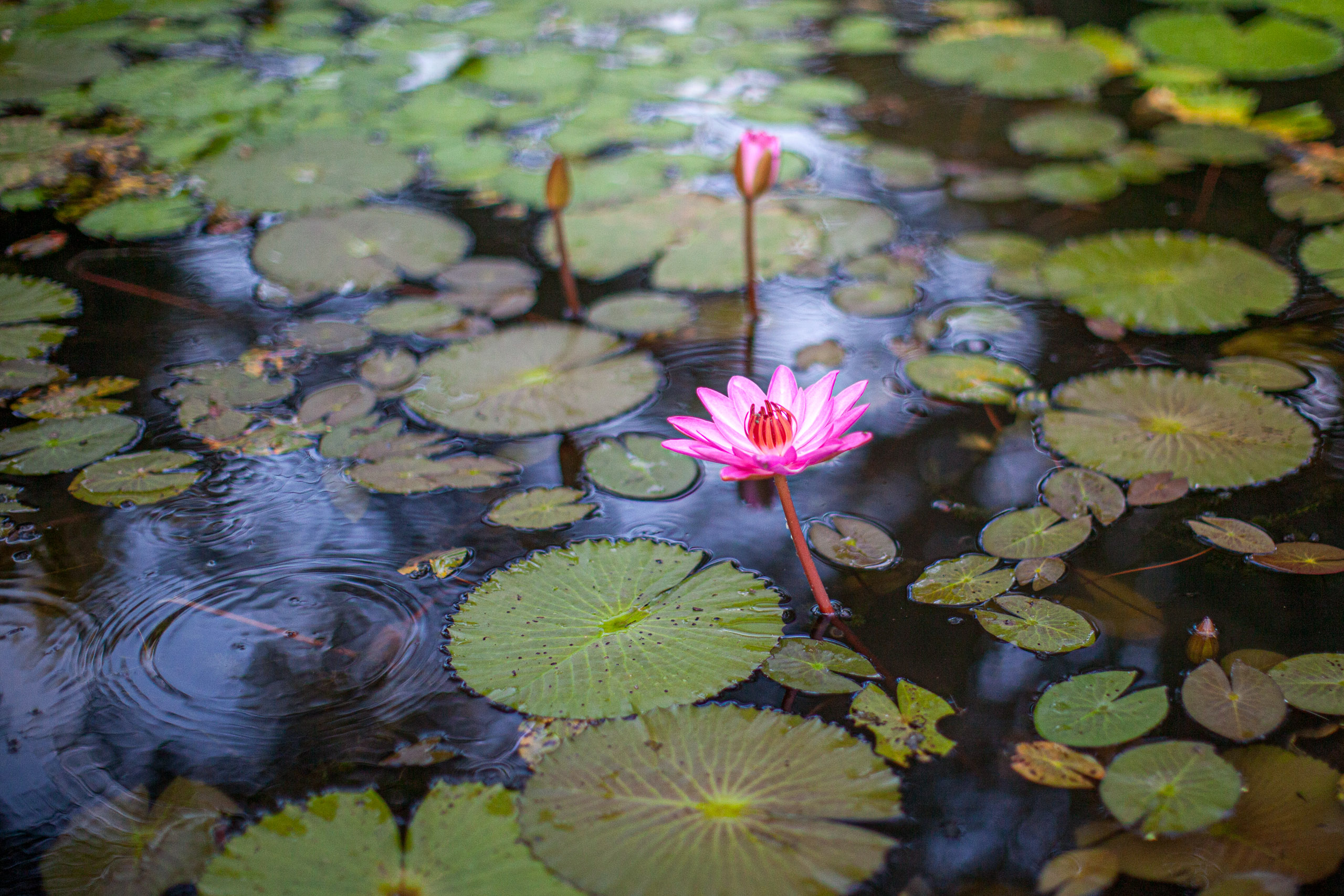 20110103065911 IMG 3313