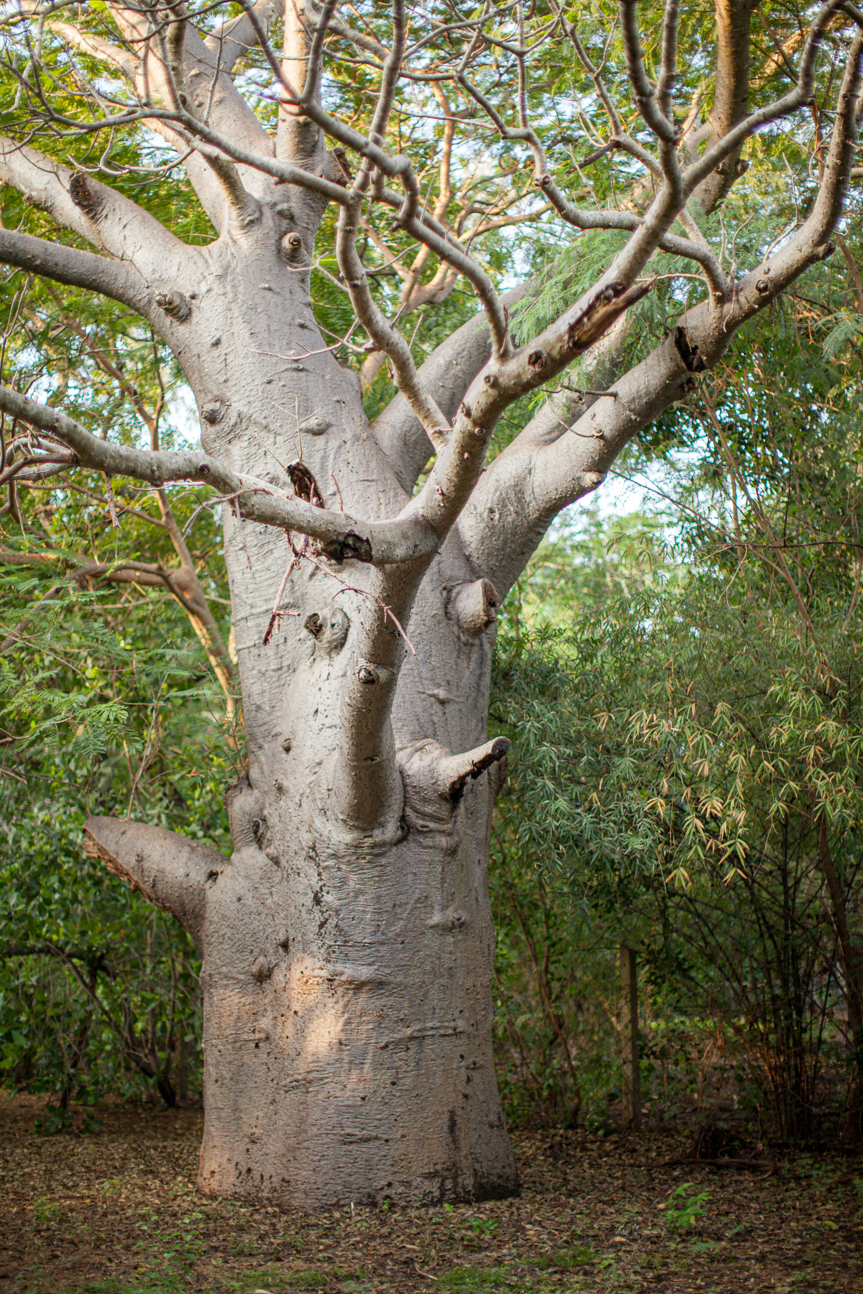 20110103072050 IMG 3450