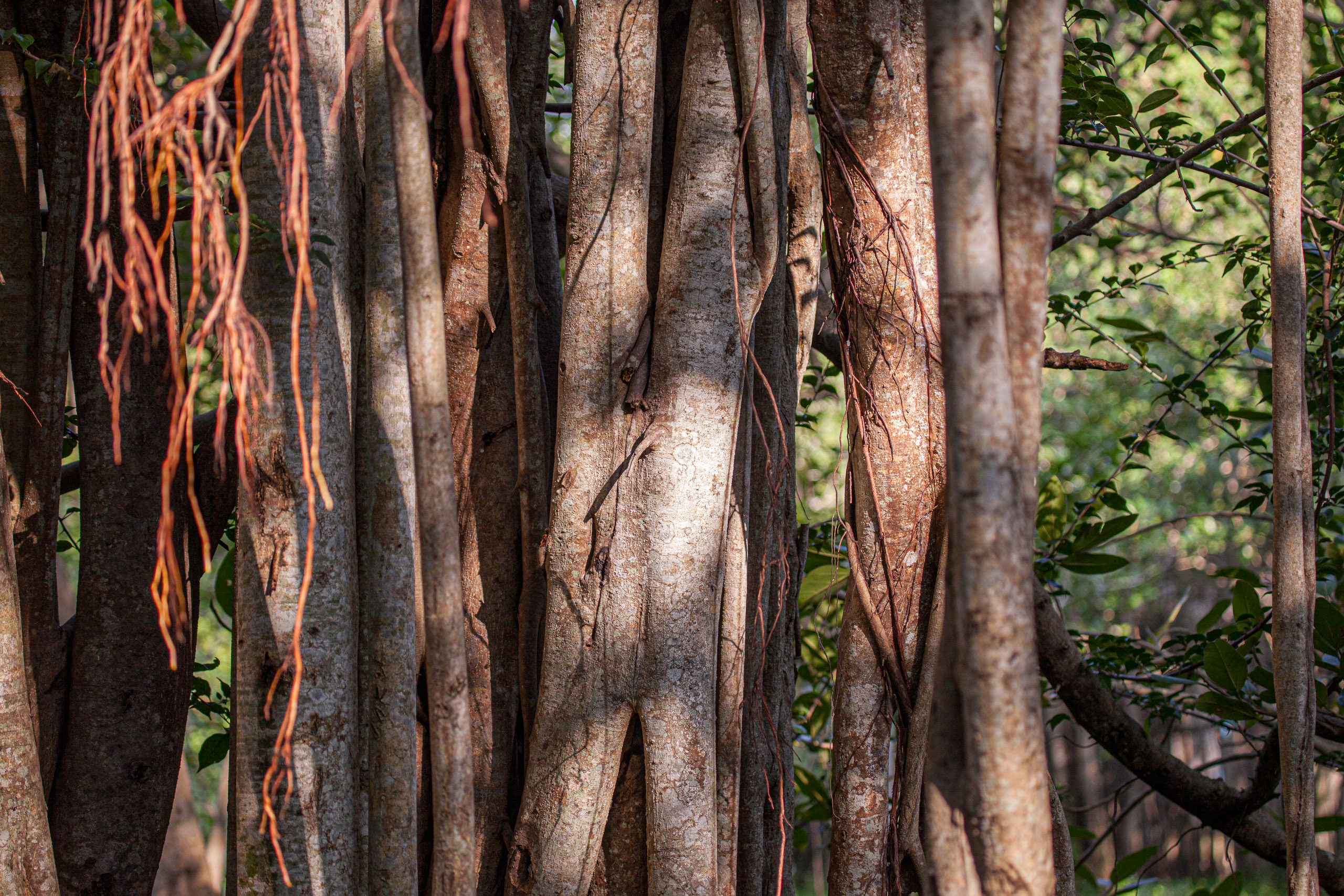 20110103082447 IMG 3575