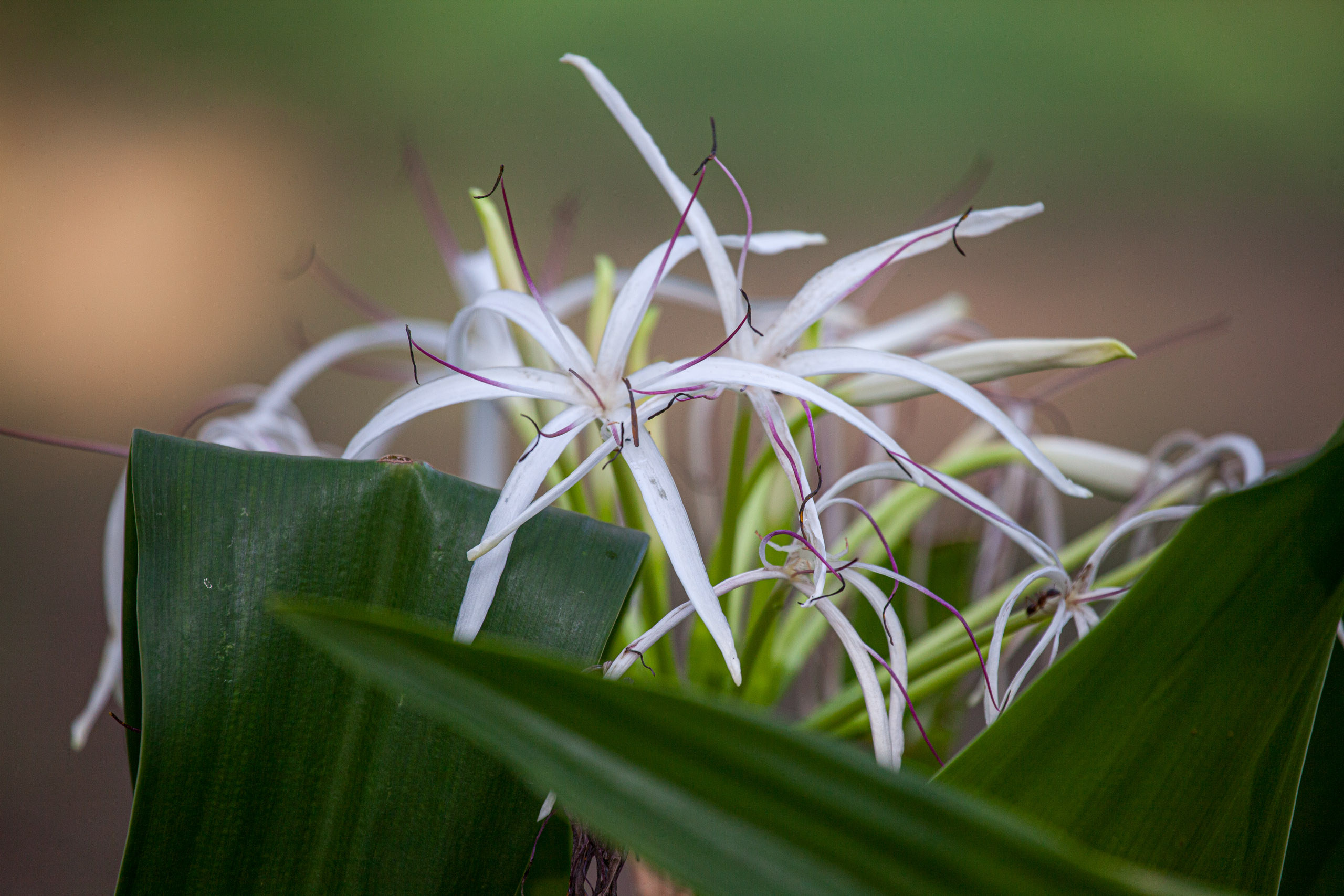 20110103082841 IMG 3600