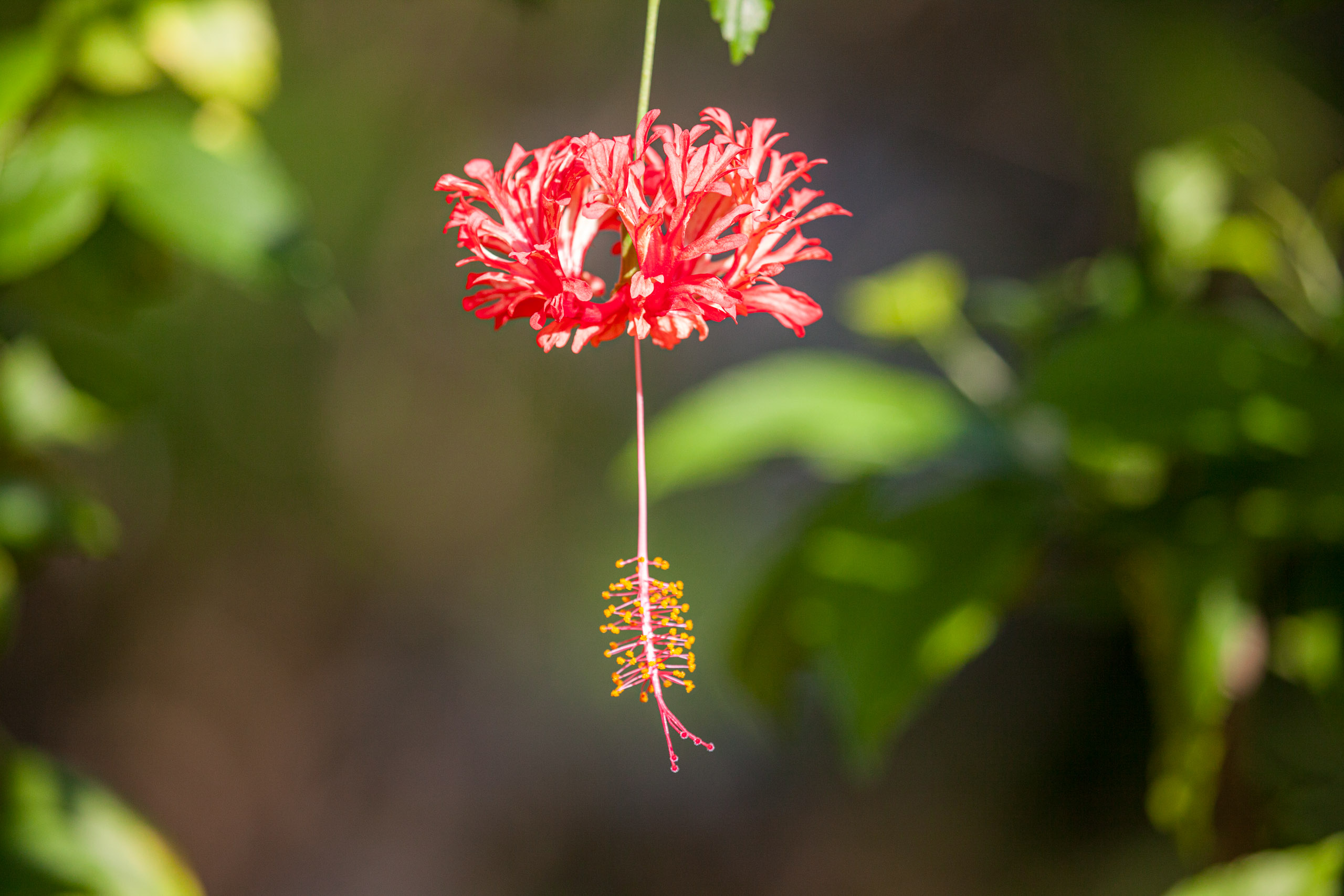 20110103084653 IMG 3722