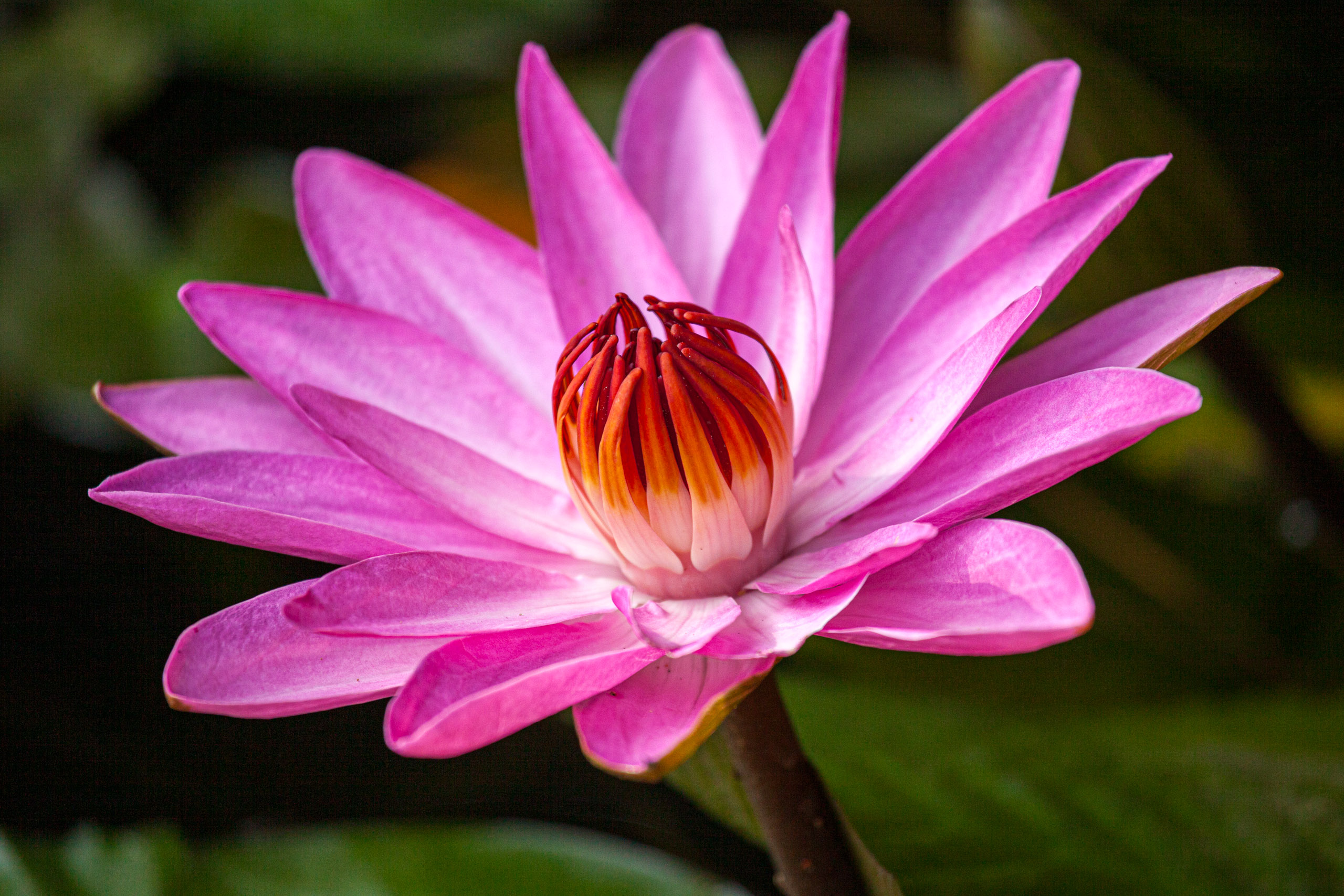 20110103085902 IMG 3758