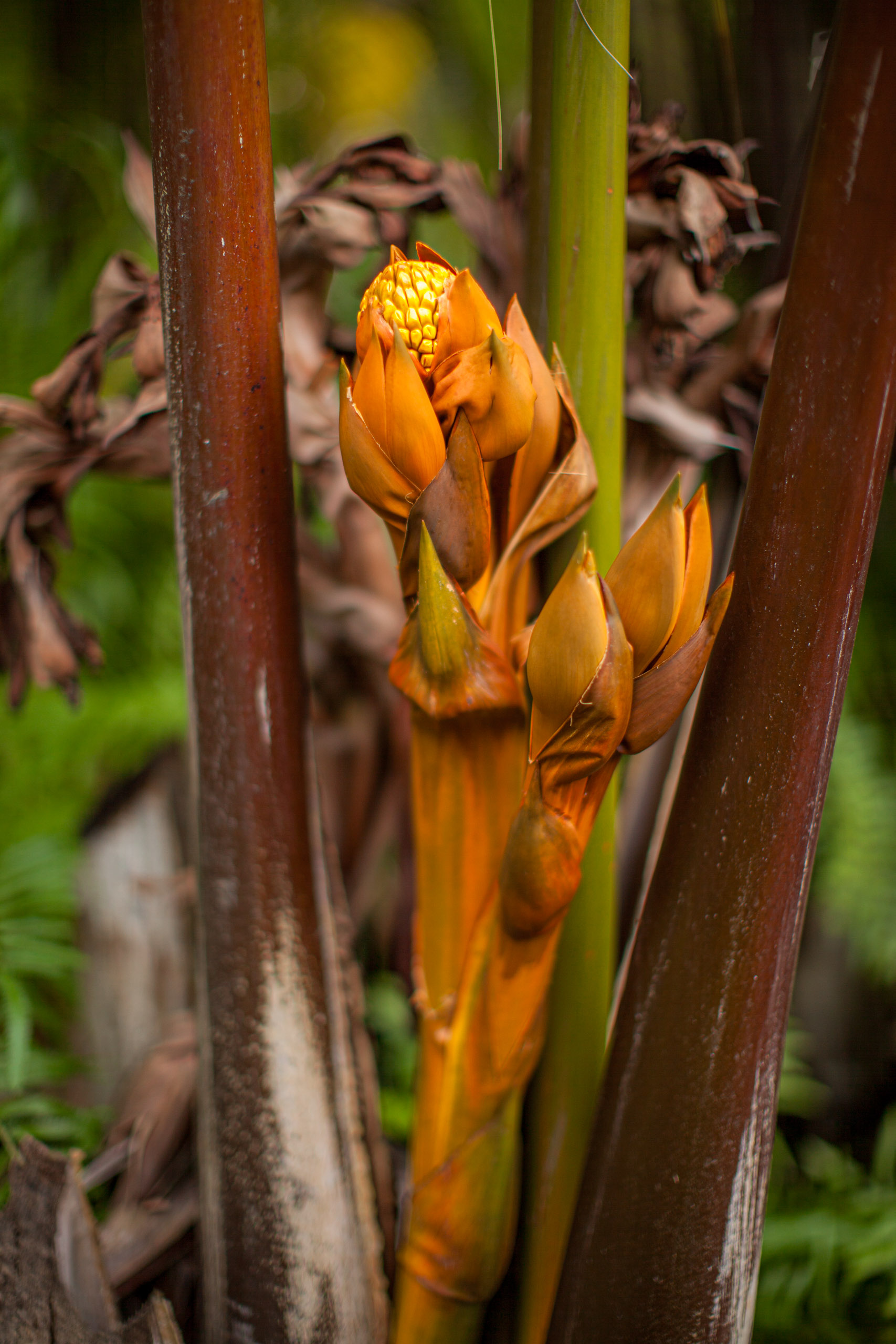 20110103172050 IMG 4119