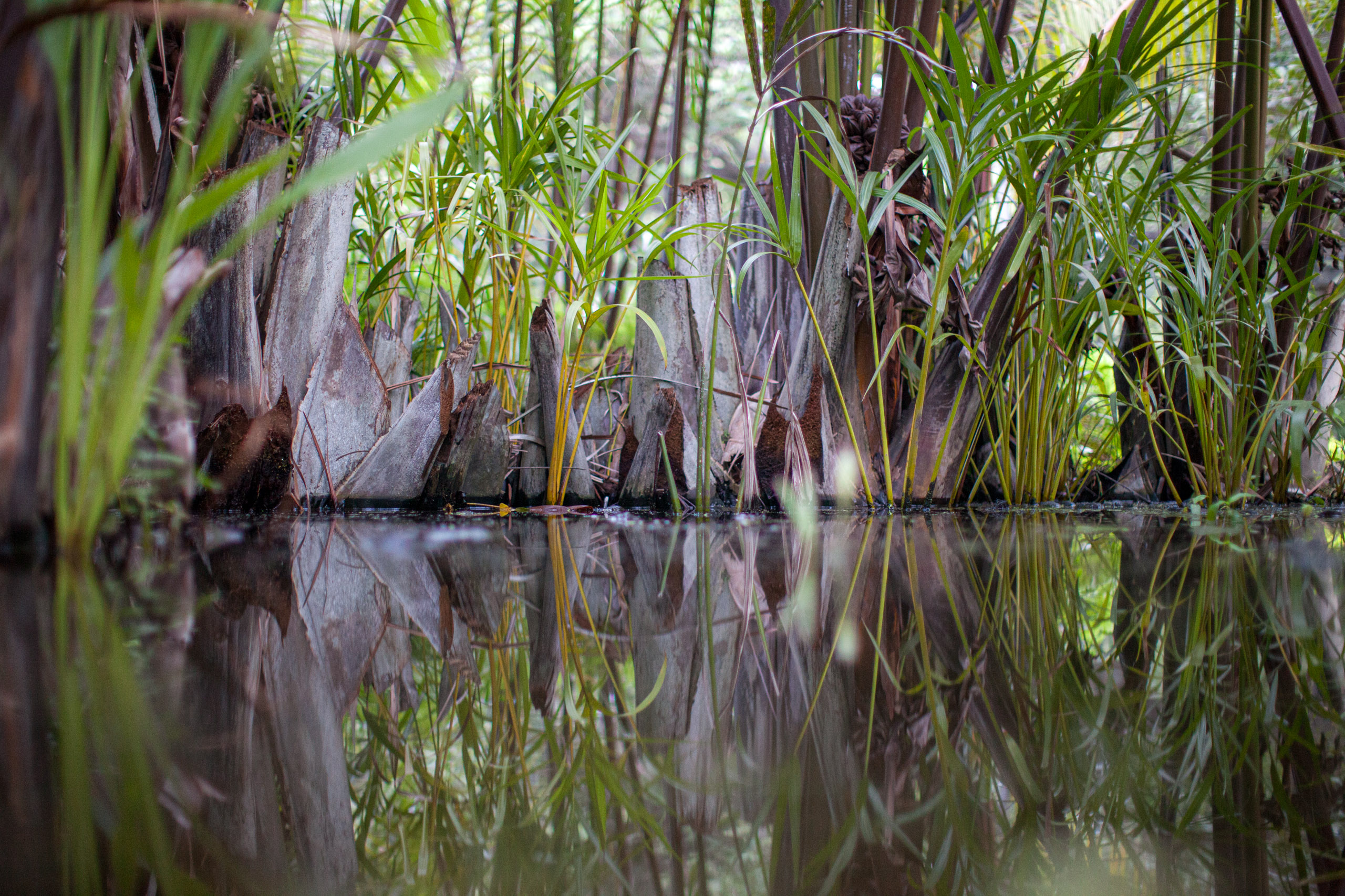 20110104062217 IMG 4155