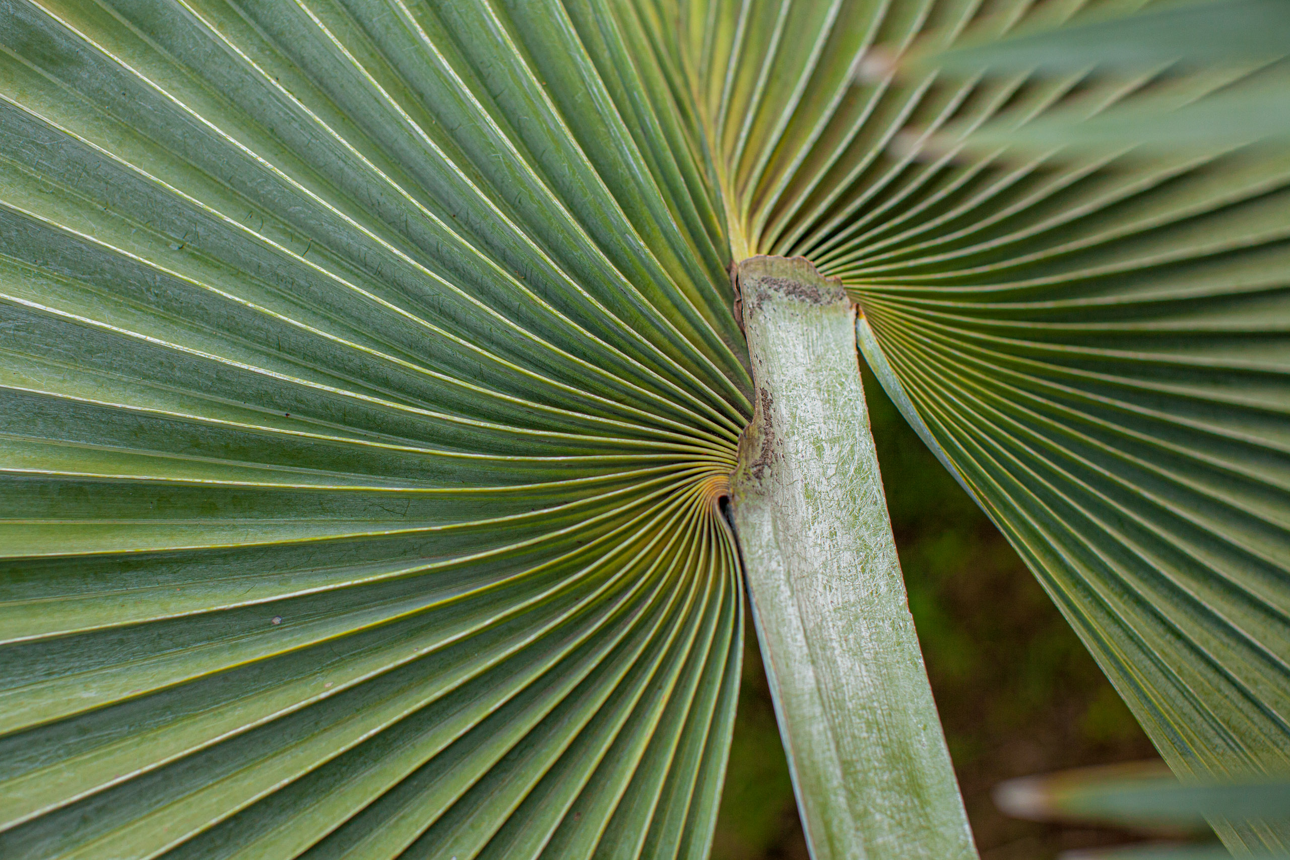 20110104064428 IMG 4301