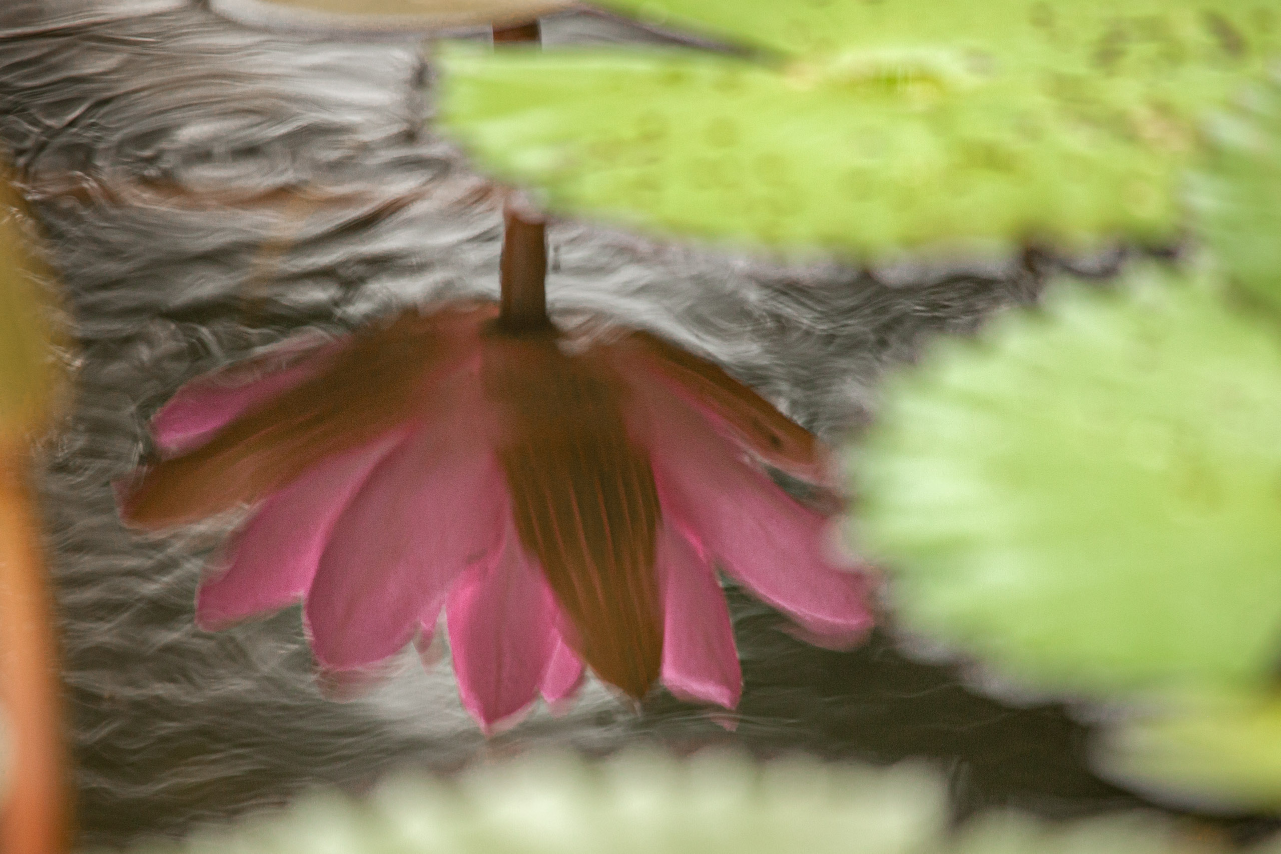 20110104091110 IMG 4476