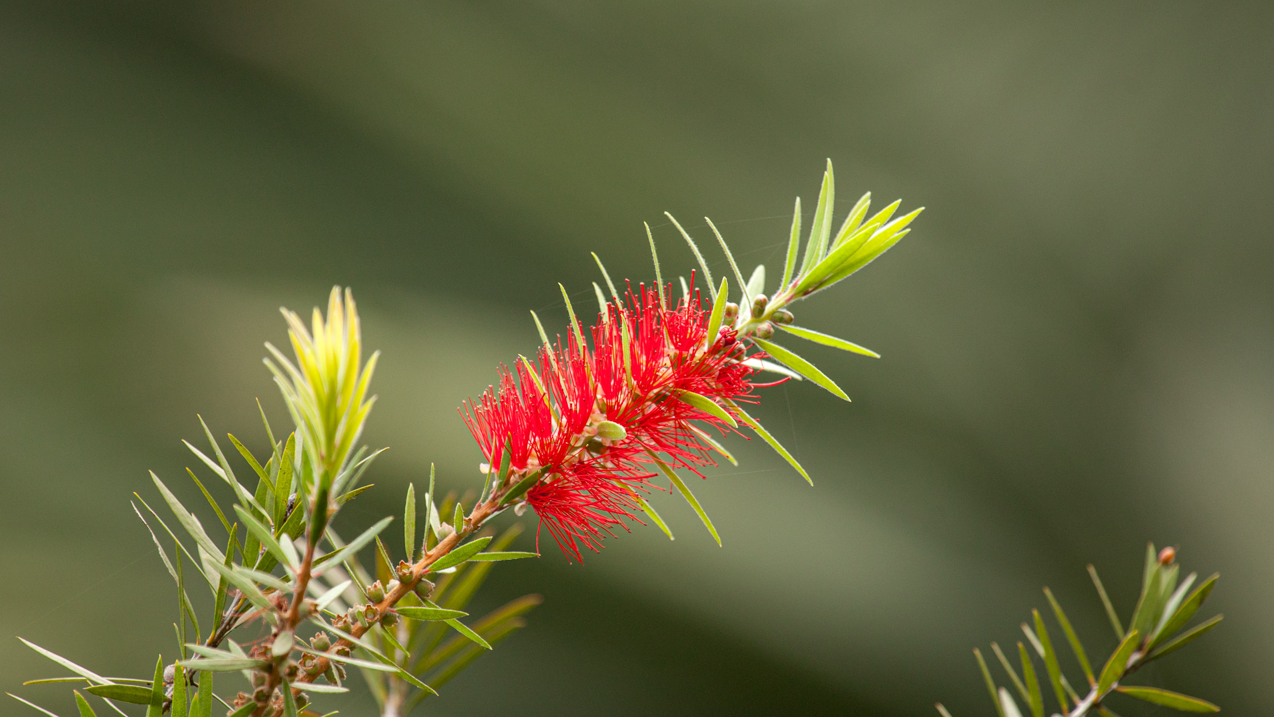 20110104100643 IMG 4667