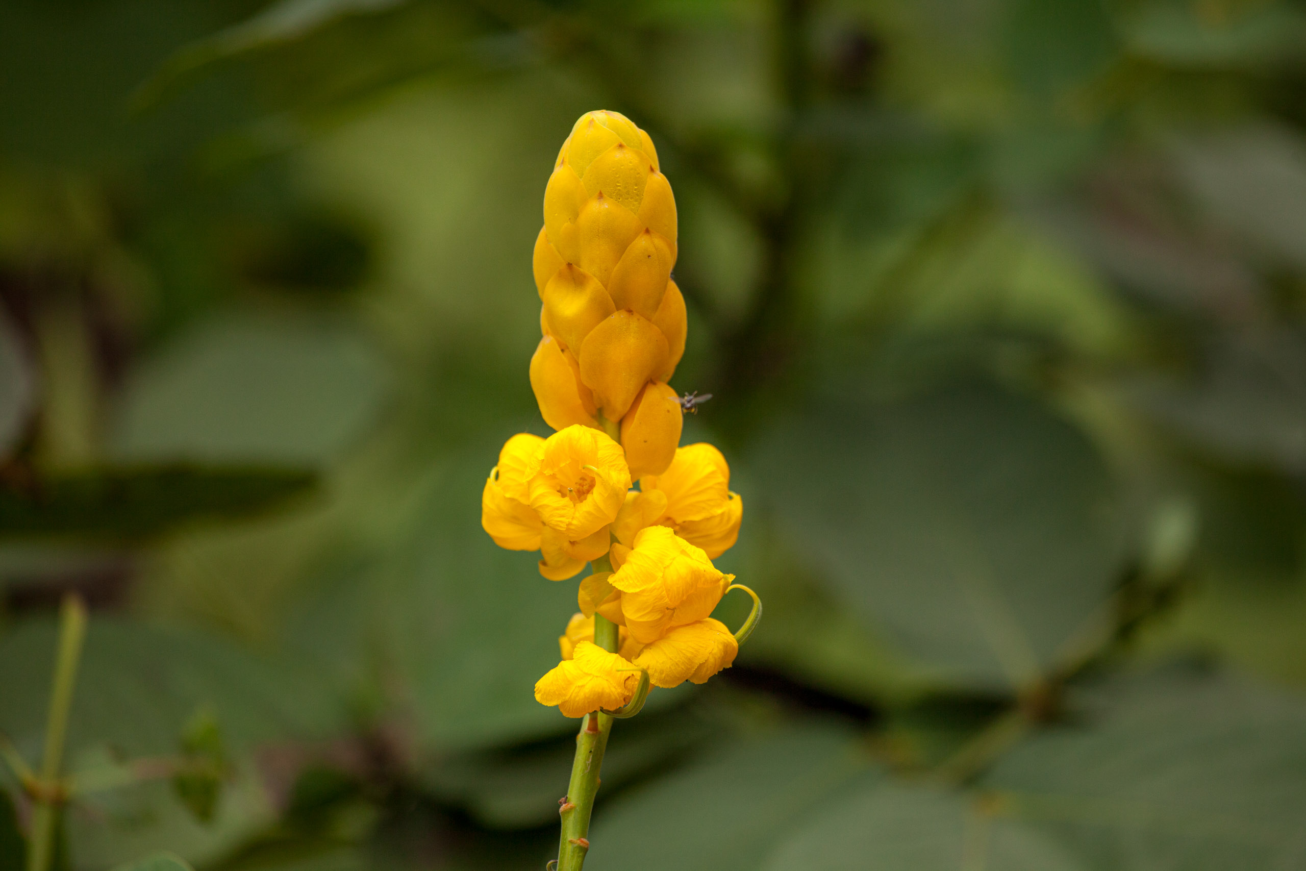 20110104100720 IMG 4672