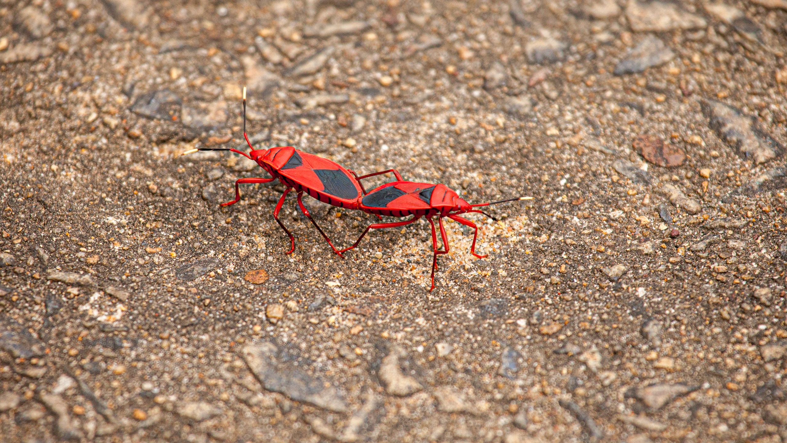 20110104100819 IMG 4685