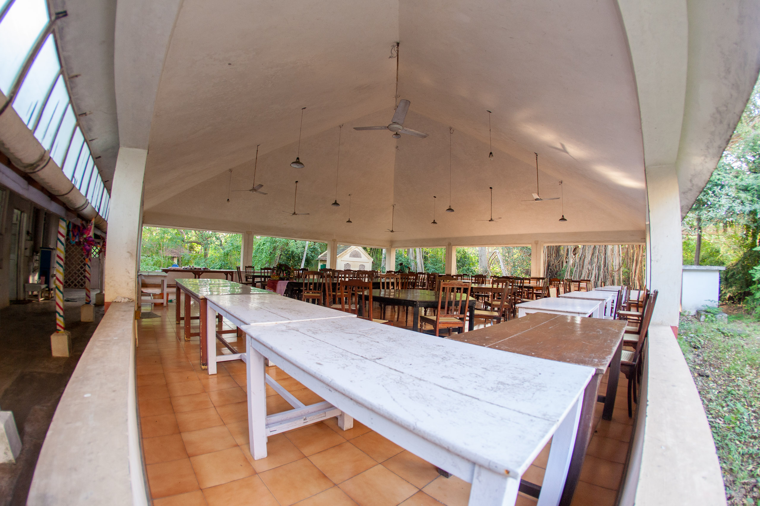 20101226161503 IMG 9612