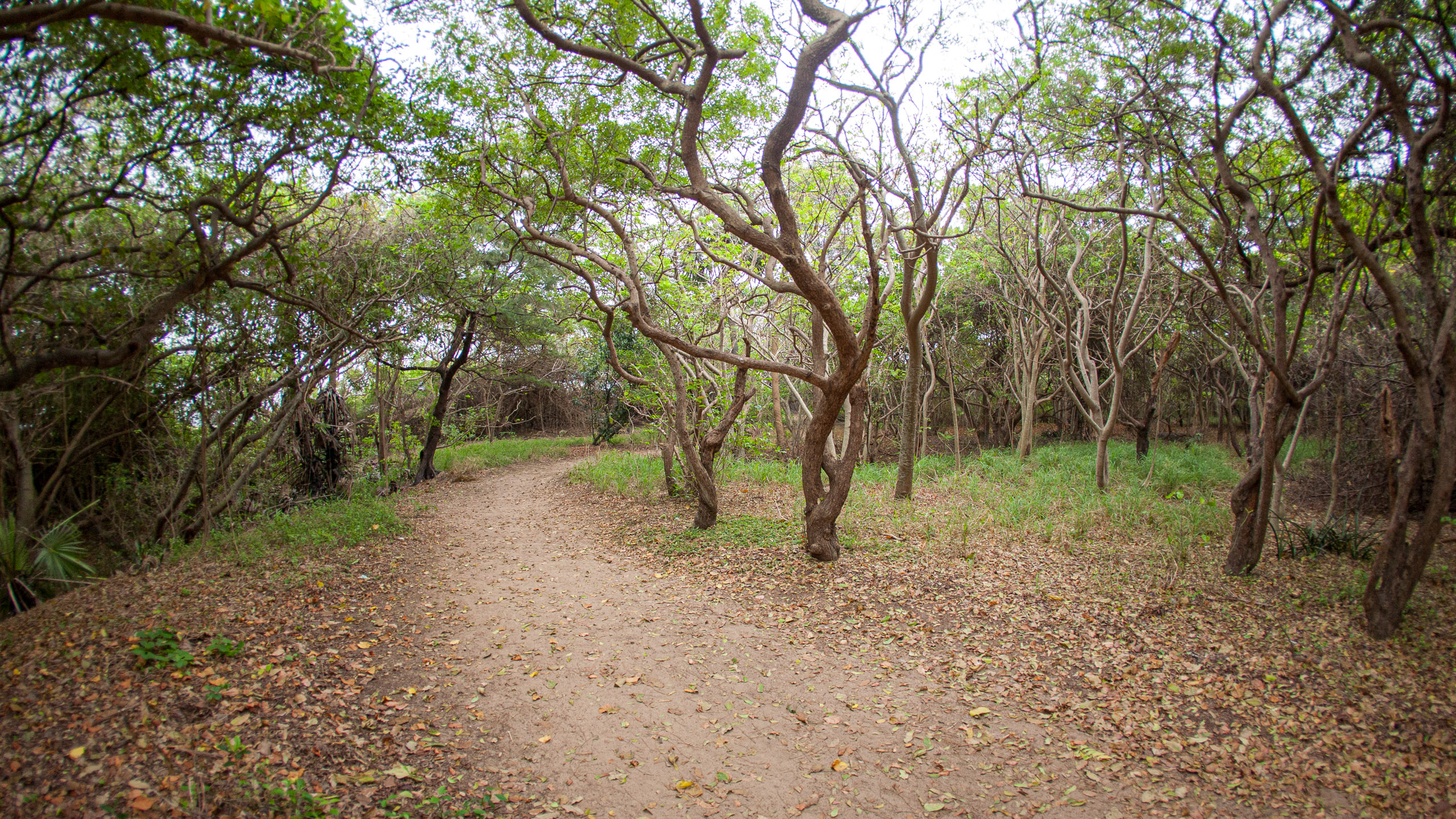 20110102171156 IMG 0445