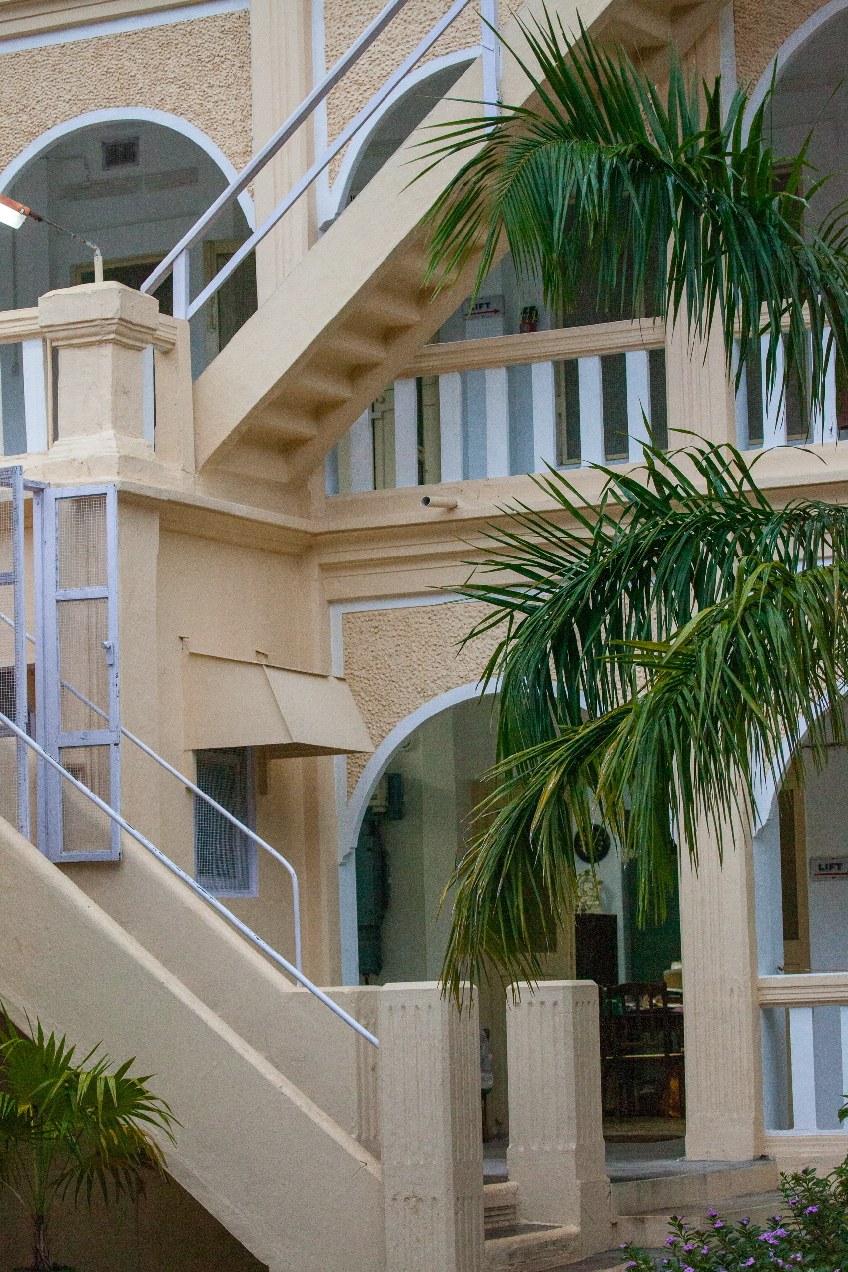 20110102174332 IMG 3151