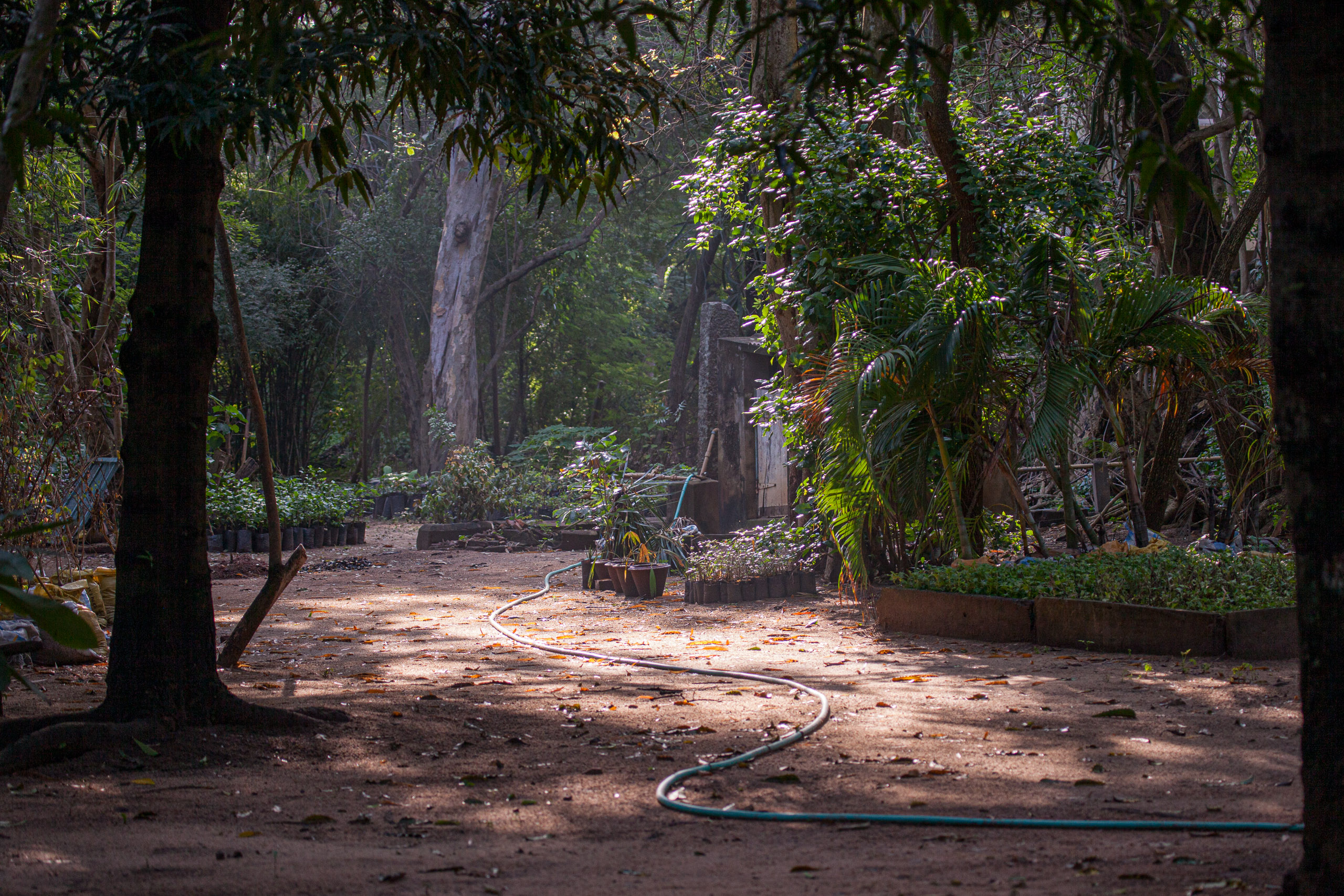 20110103082419 IMG 3574