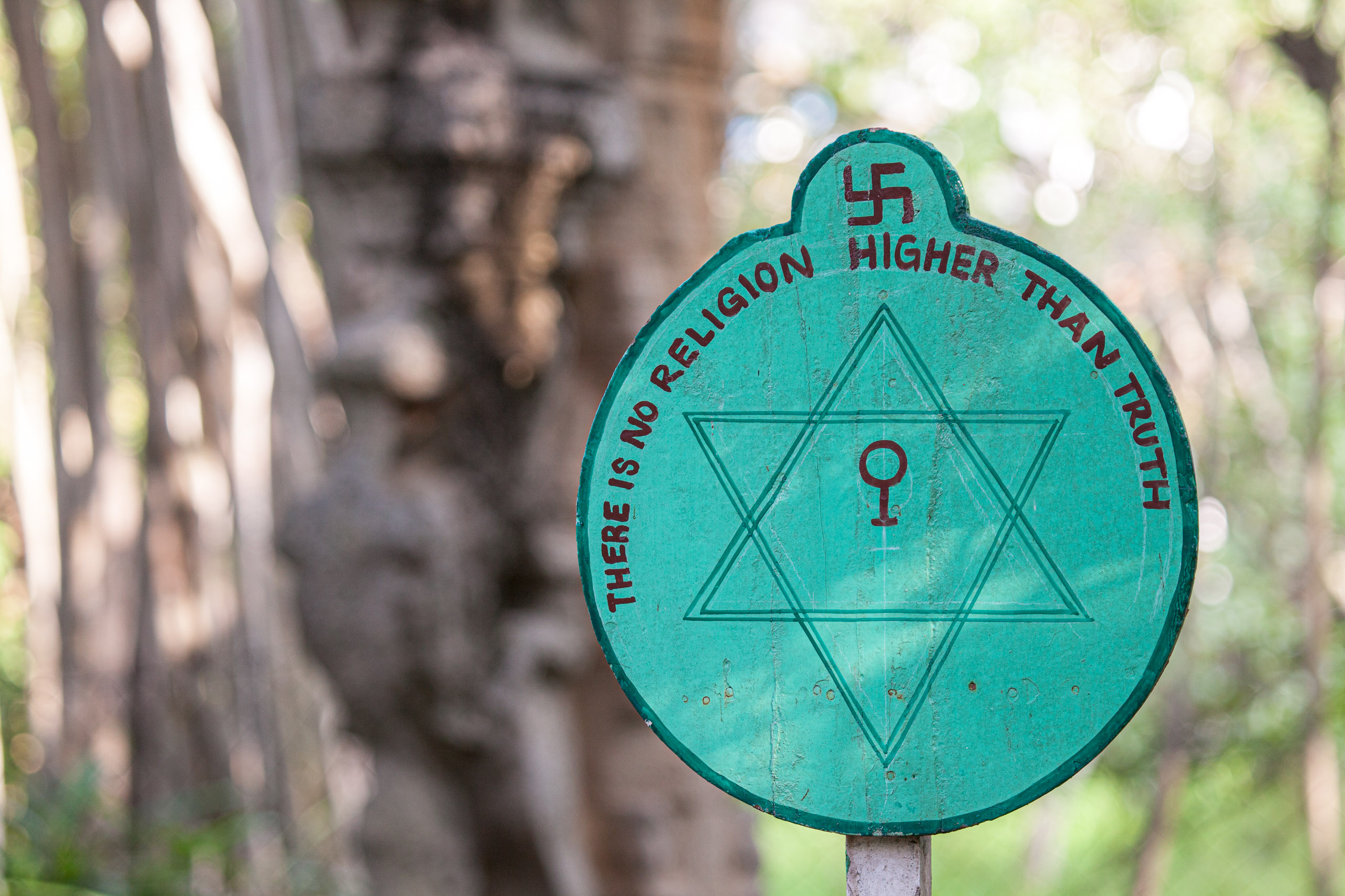 20110103082620 IMG 3585