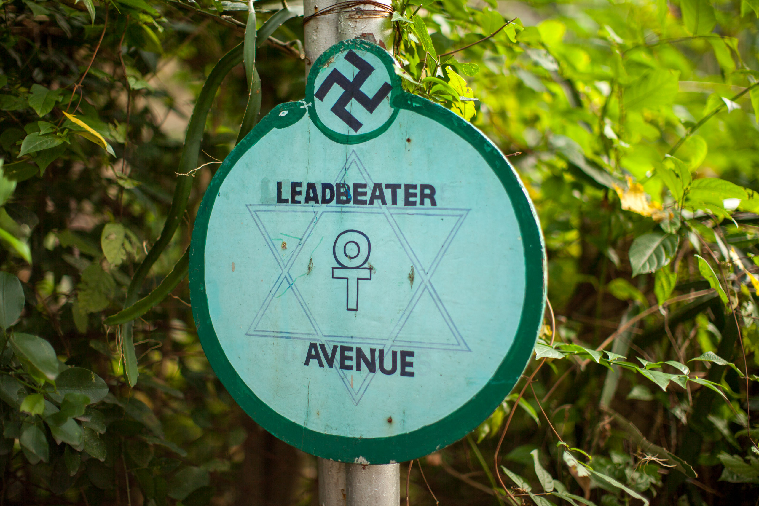 20110103172140 IMG 4120