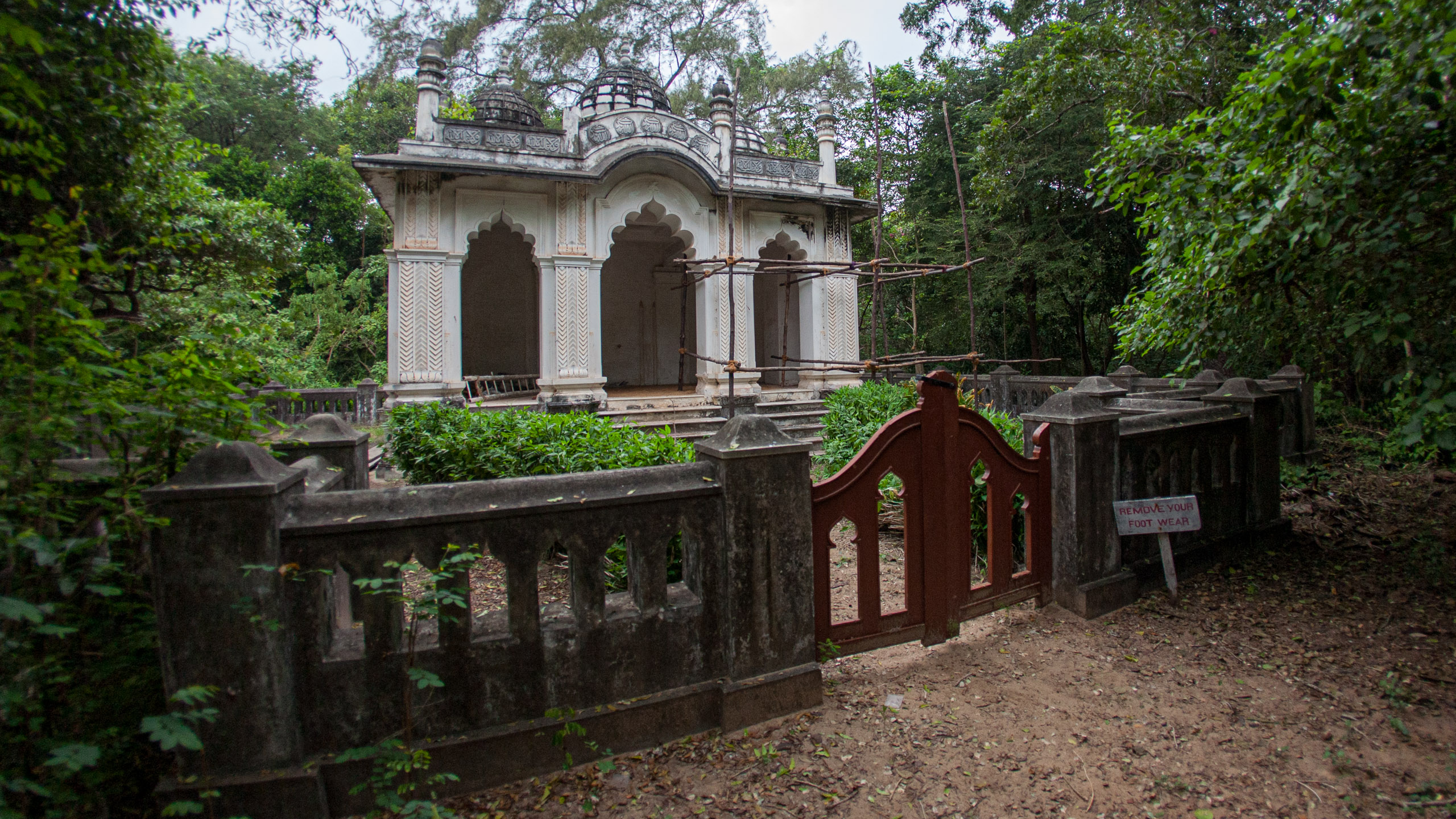 20110102172356 IMG 0494