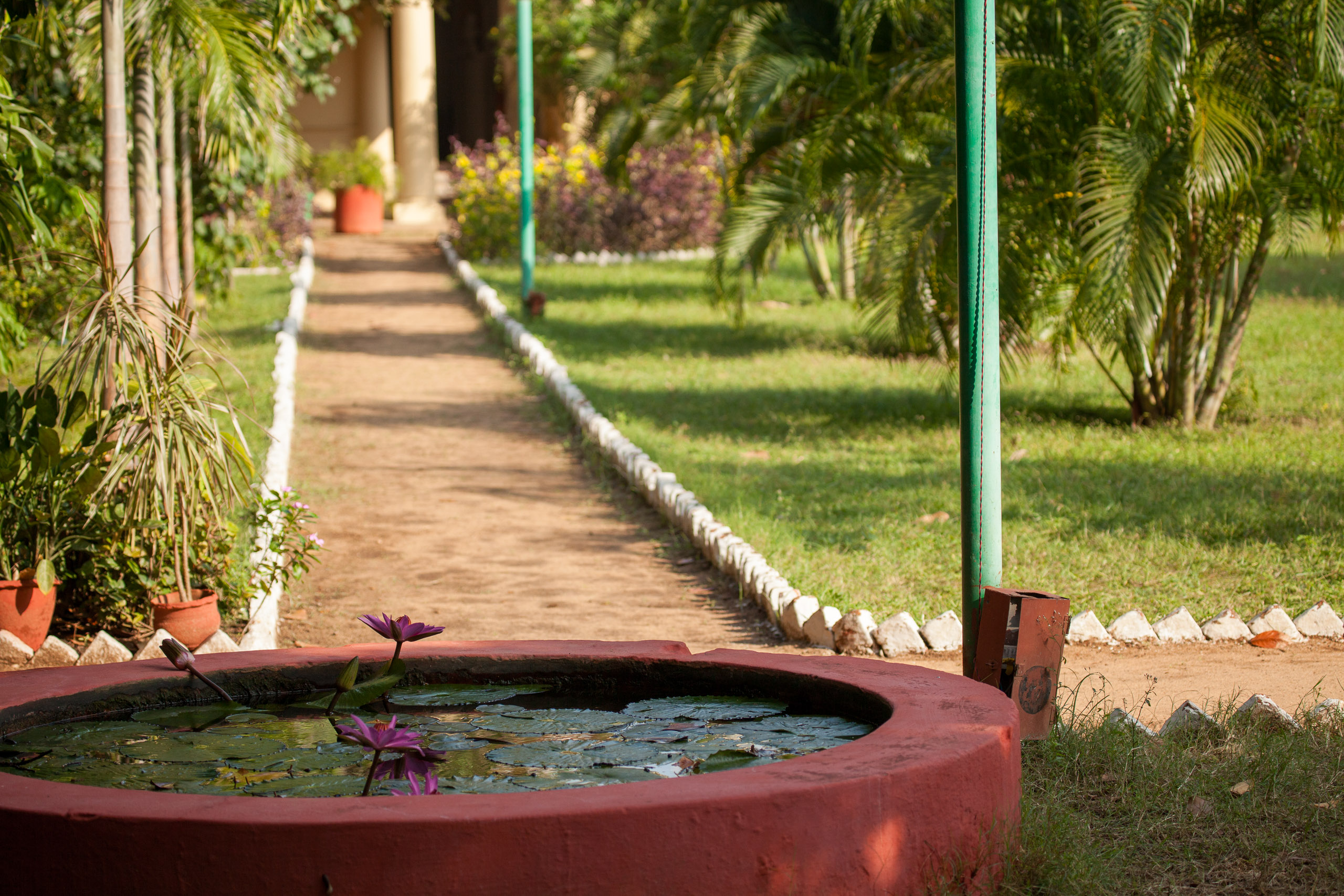 20110103085743 IMG 3746