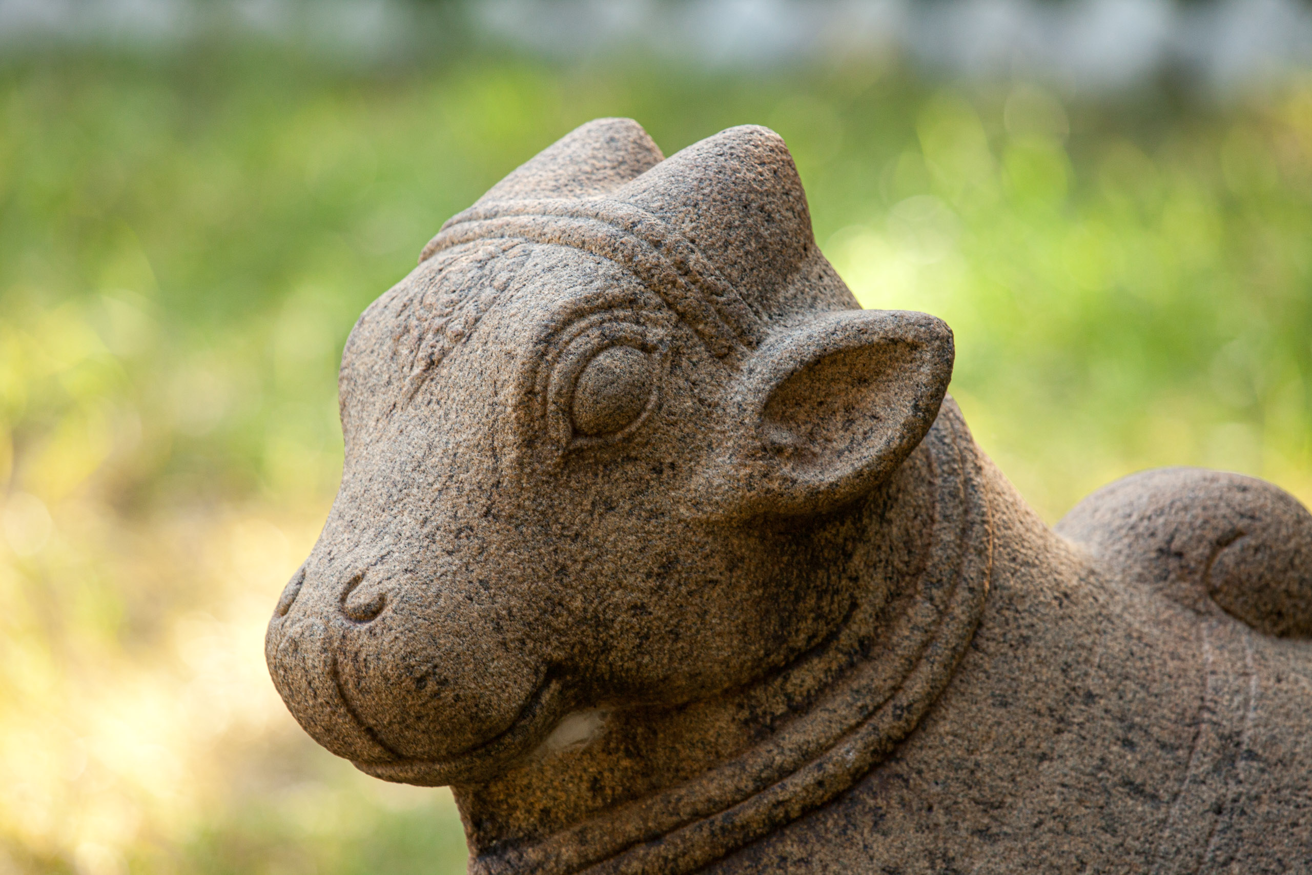 20110103085805 IMG 3749