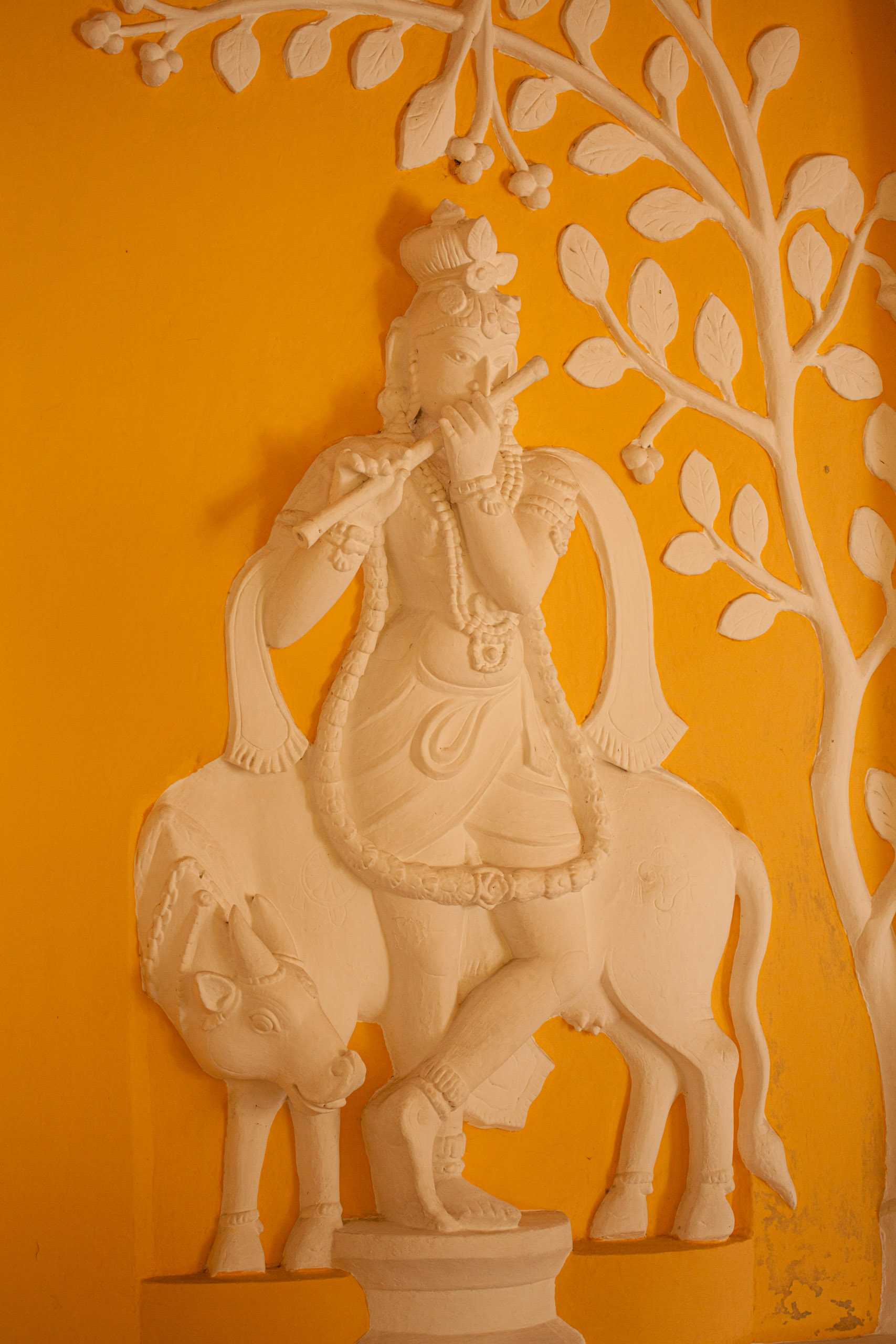 20110103090452 IMG 3798