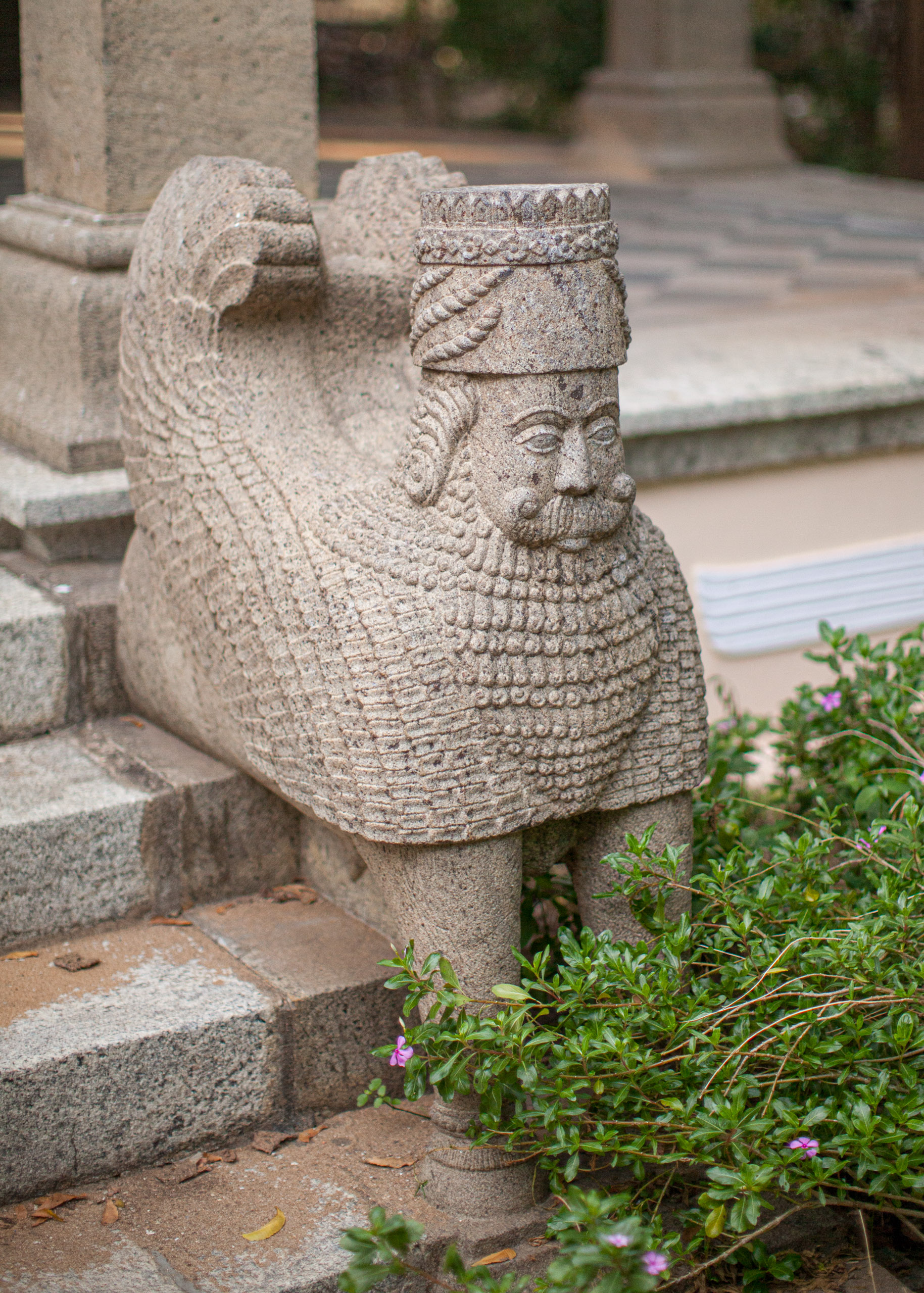 20110103164129 IMG 3999