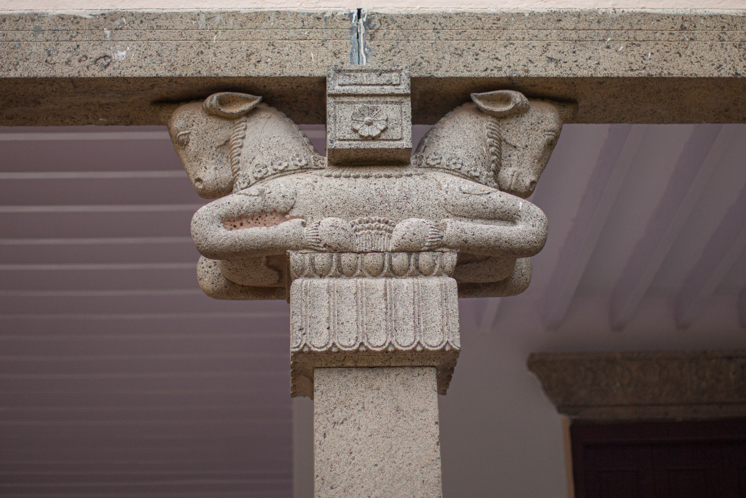 20110103164221 IMG 4003