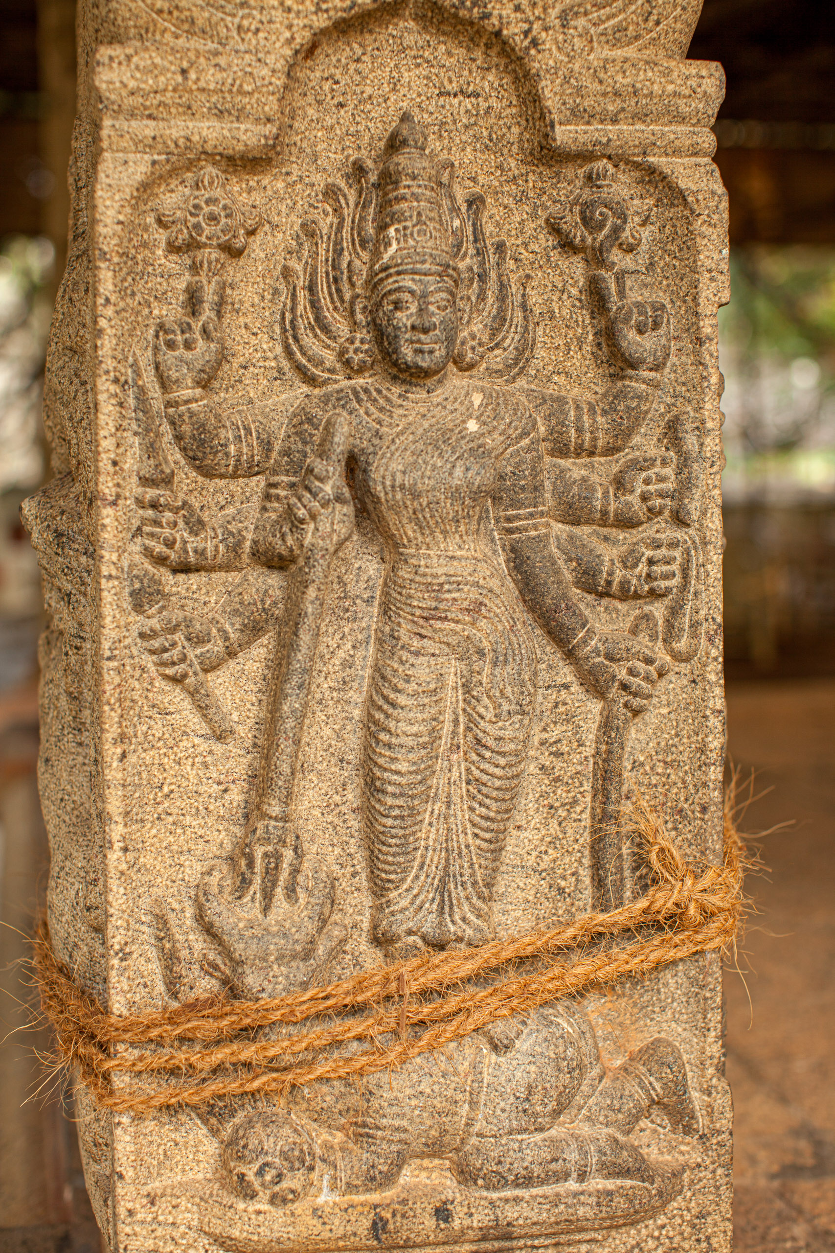 20110103170039 IMG 4060